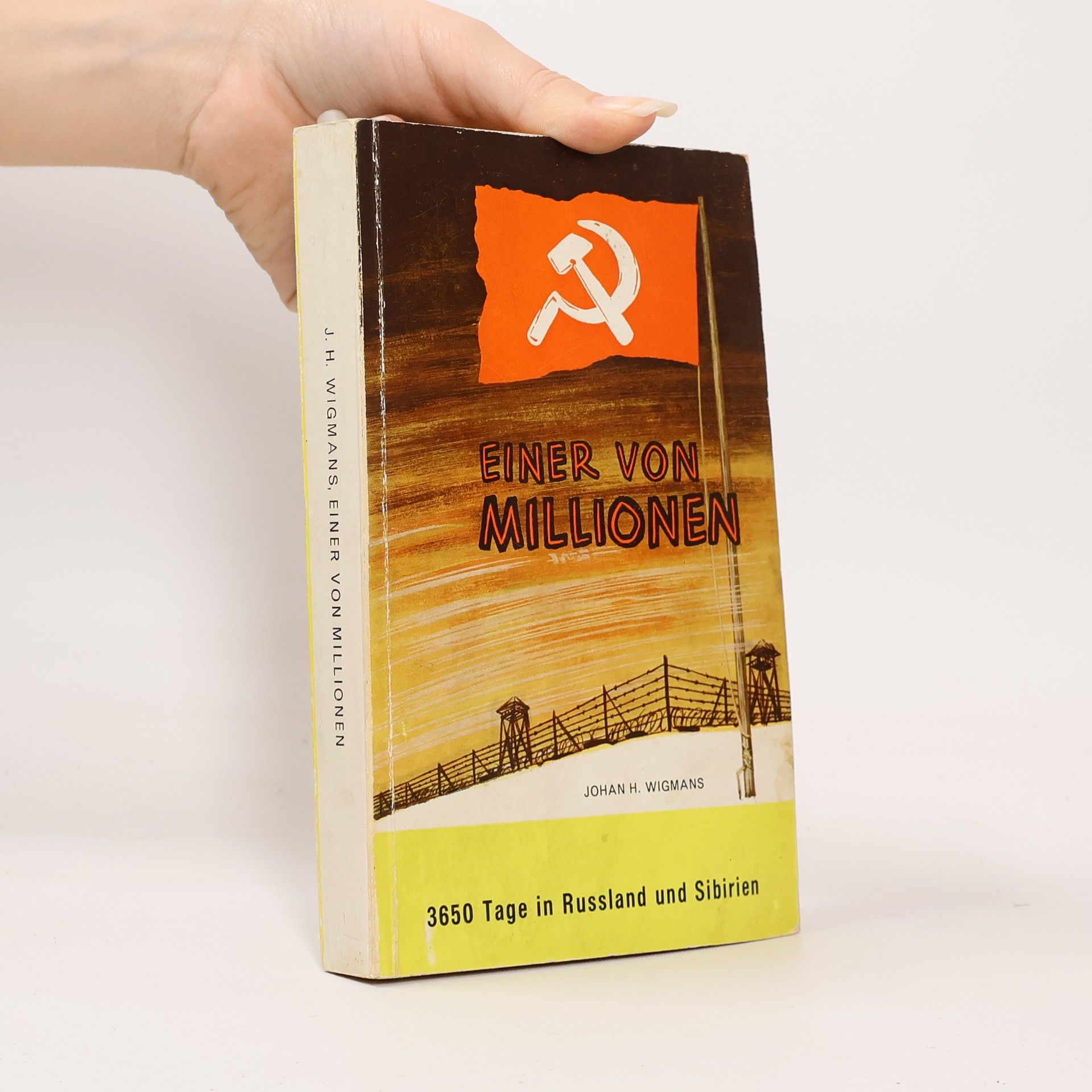 Johan H Wigmans Einer von Millionen