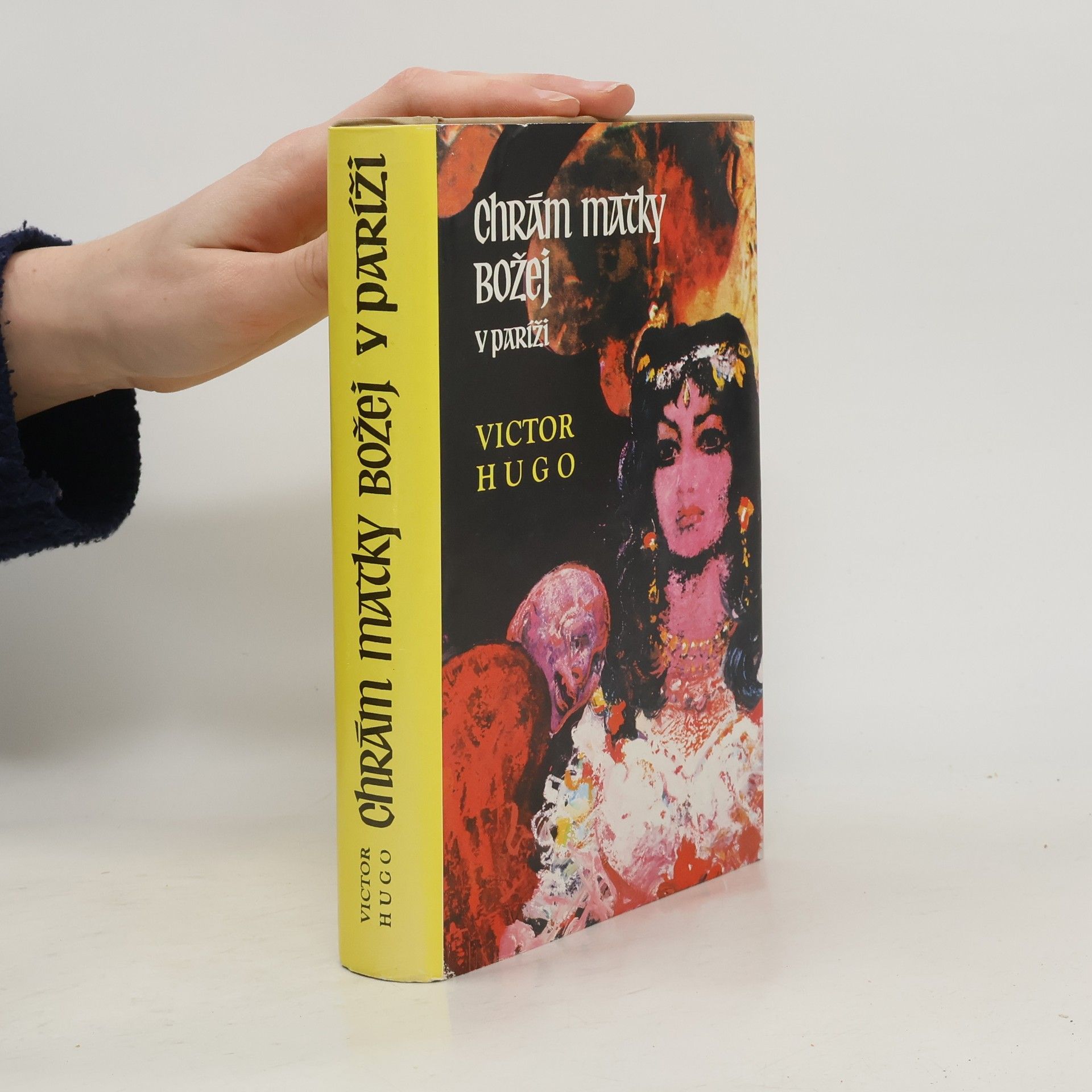 Victor Hugo Chrám Matky Božej v Paríži