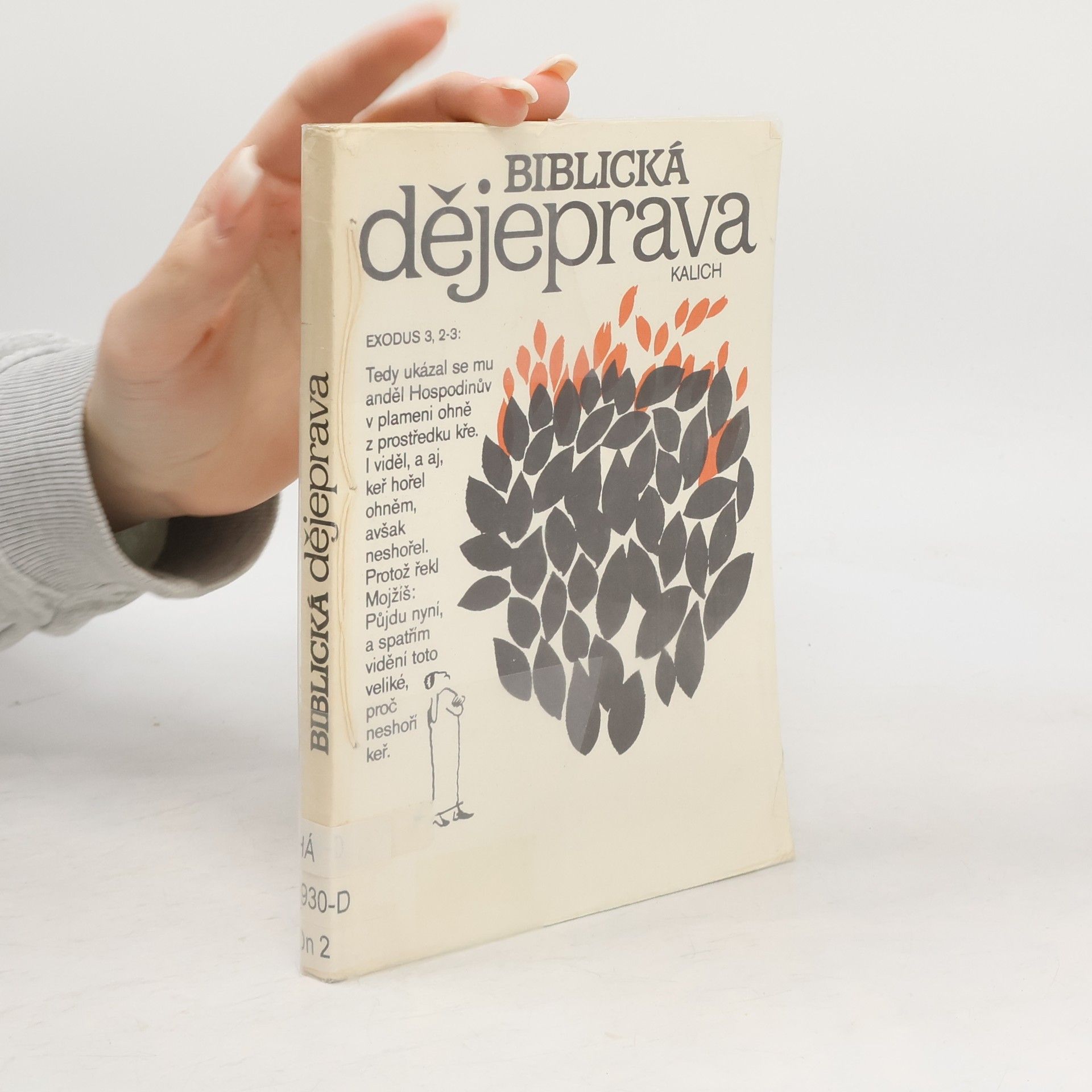 Kolektiv autorů Biblická dějeprava