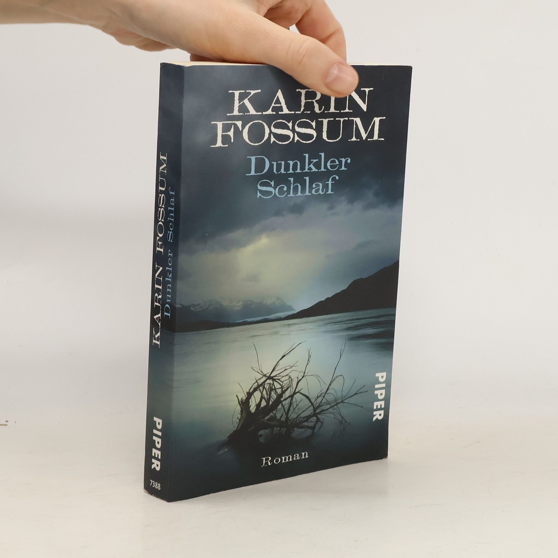 Karin Fossum Dunkler Schlaf