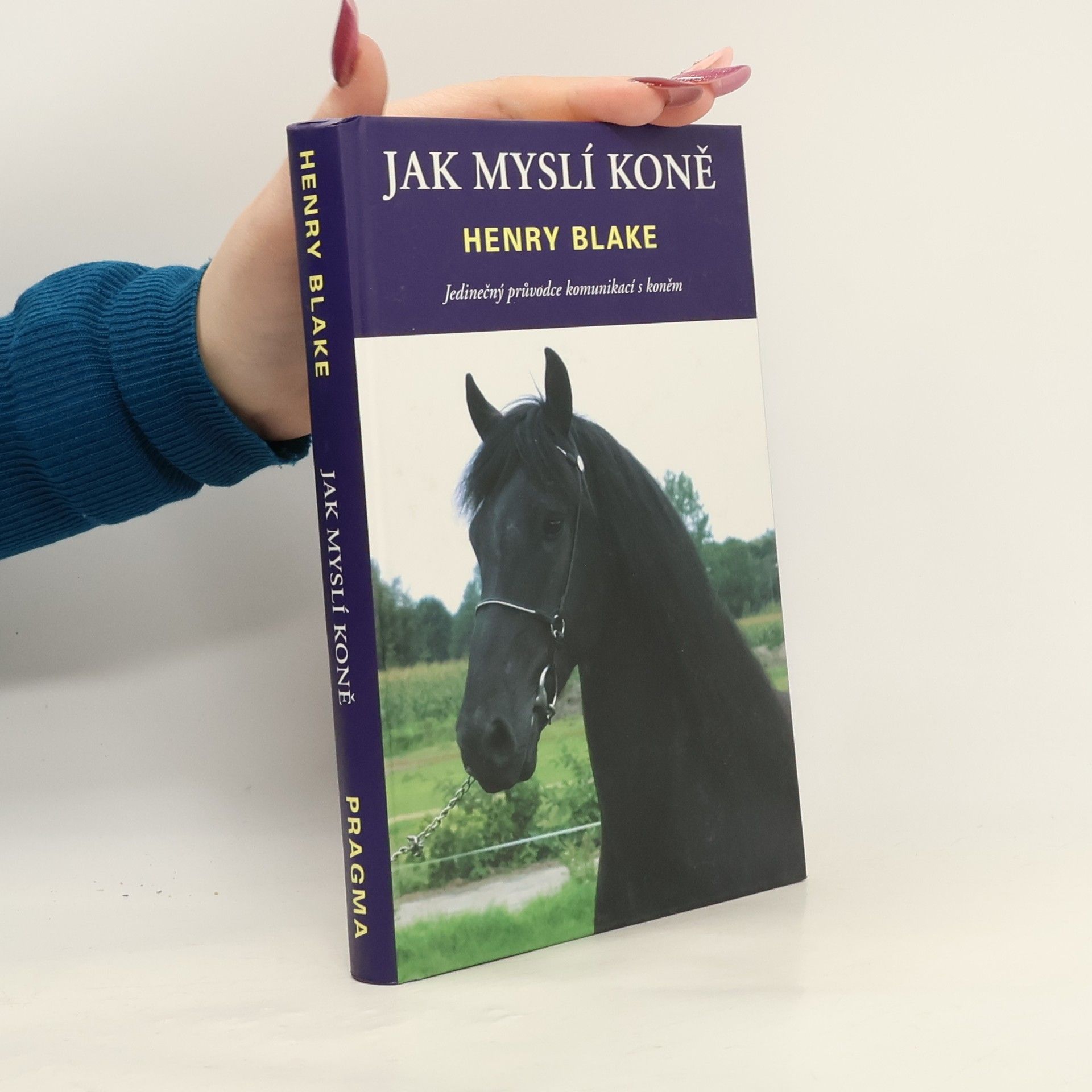 H. N. Blake Jak myslí koně