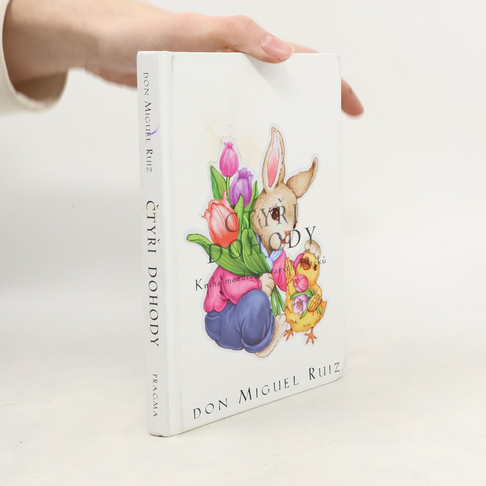 Don Miguel Ruiz Čtyři dohody