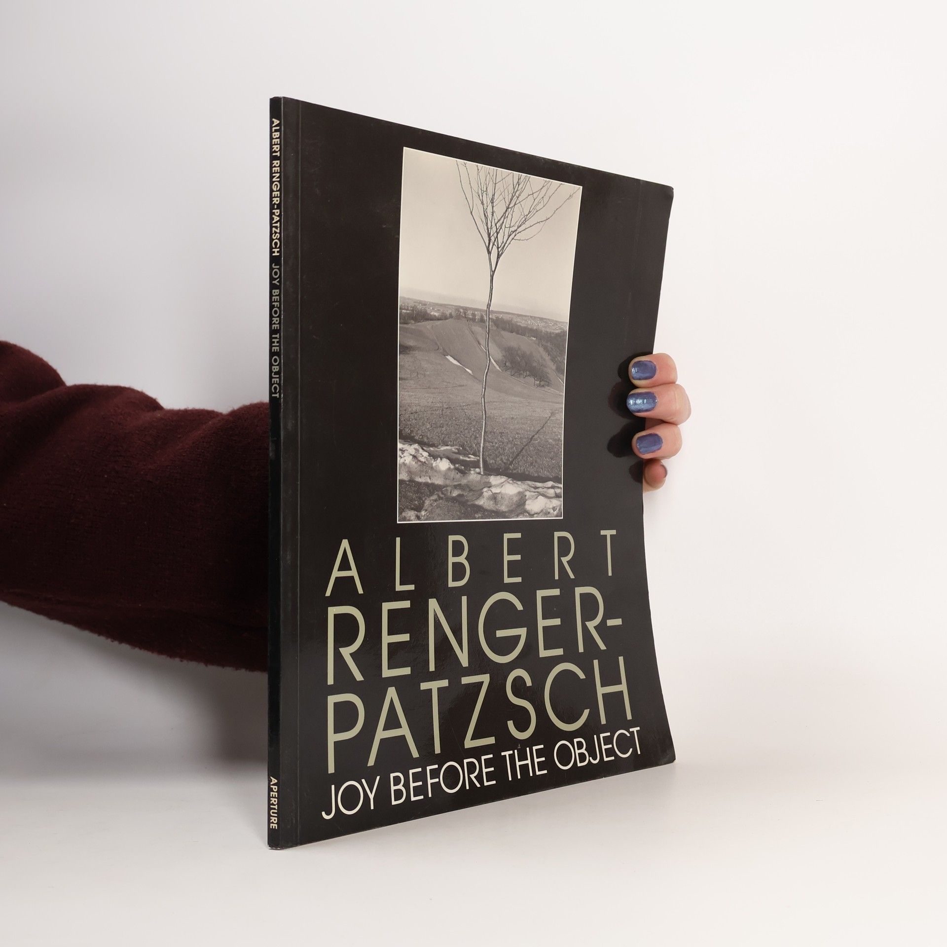 Albert Renger-Patzsch