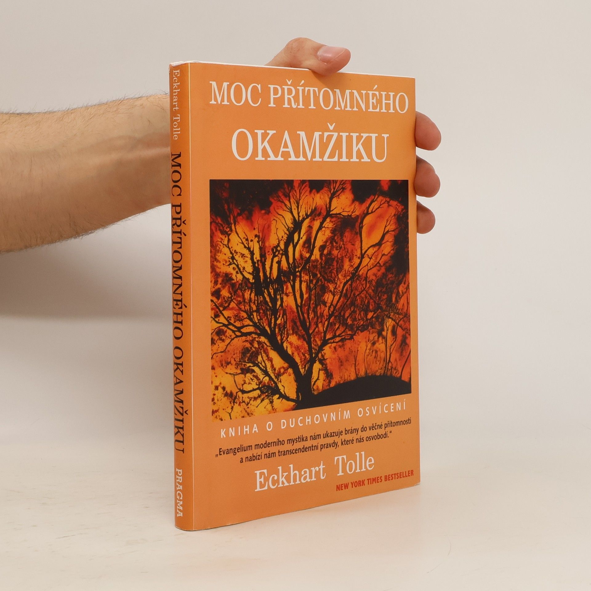 Eckhart Tolle Moc přítomného okamžiku