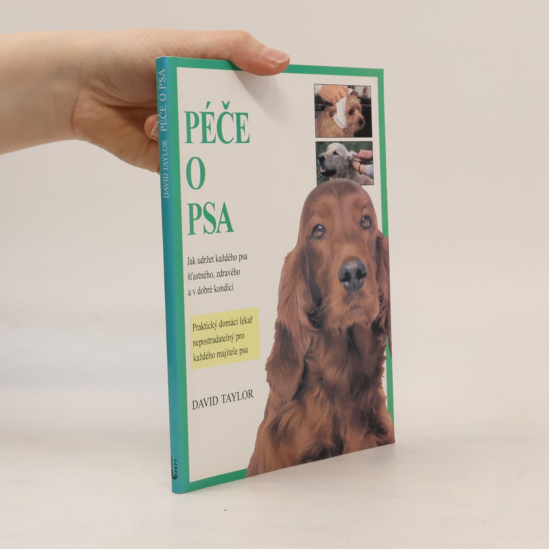 David Conrad Taylor Péče o psa