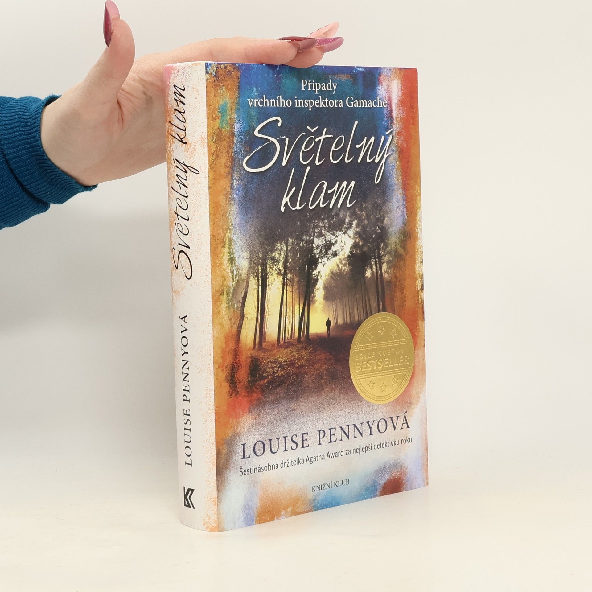 Louise Penny Světelný klam