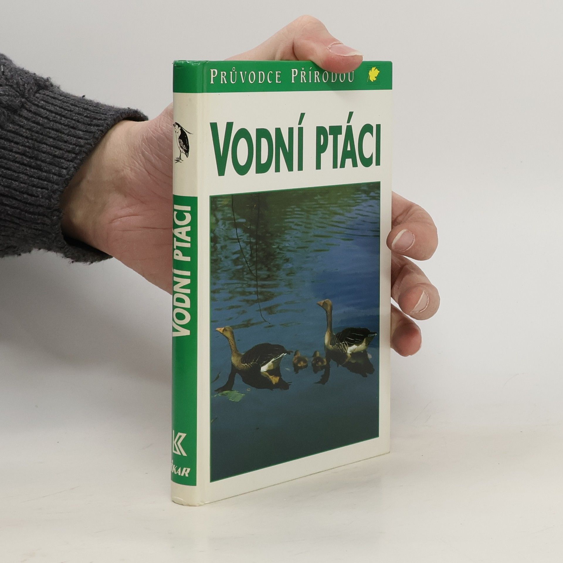 Friedhelm Sauer Vodní ptáci