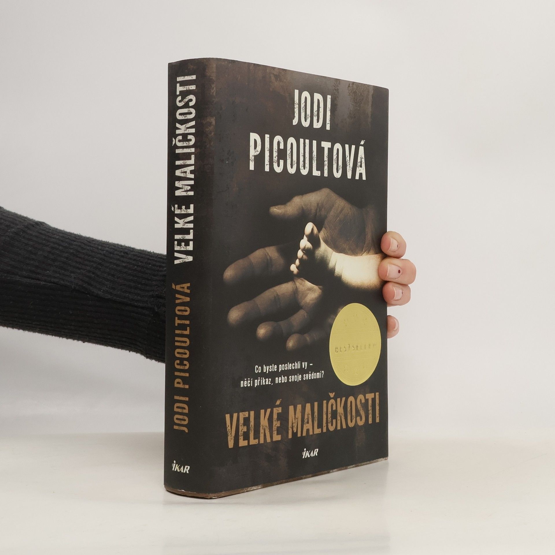 Jodi Picoult Velké maličkosti