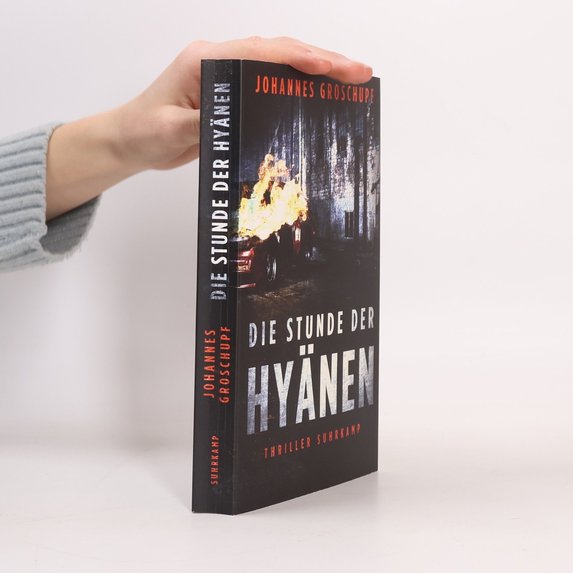 Johannes Groschupf Die Stunde der Hyänen