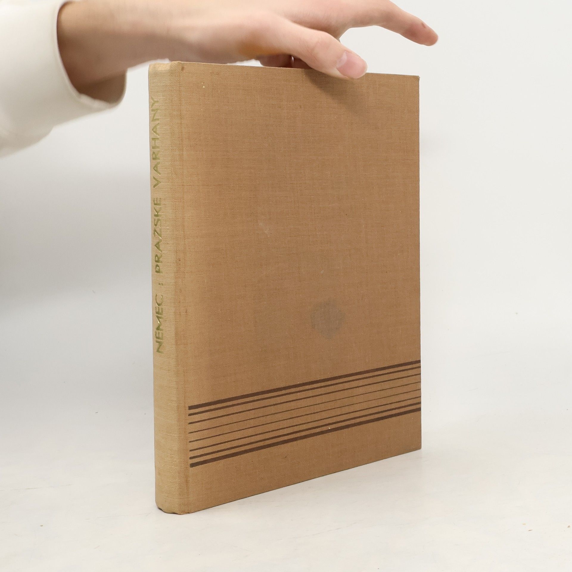 Vladimír Němec Pražské varhany