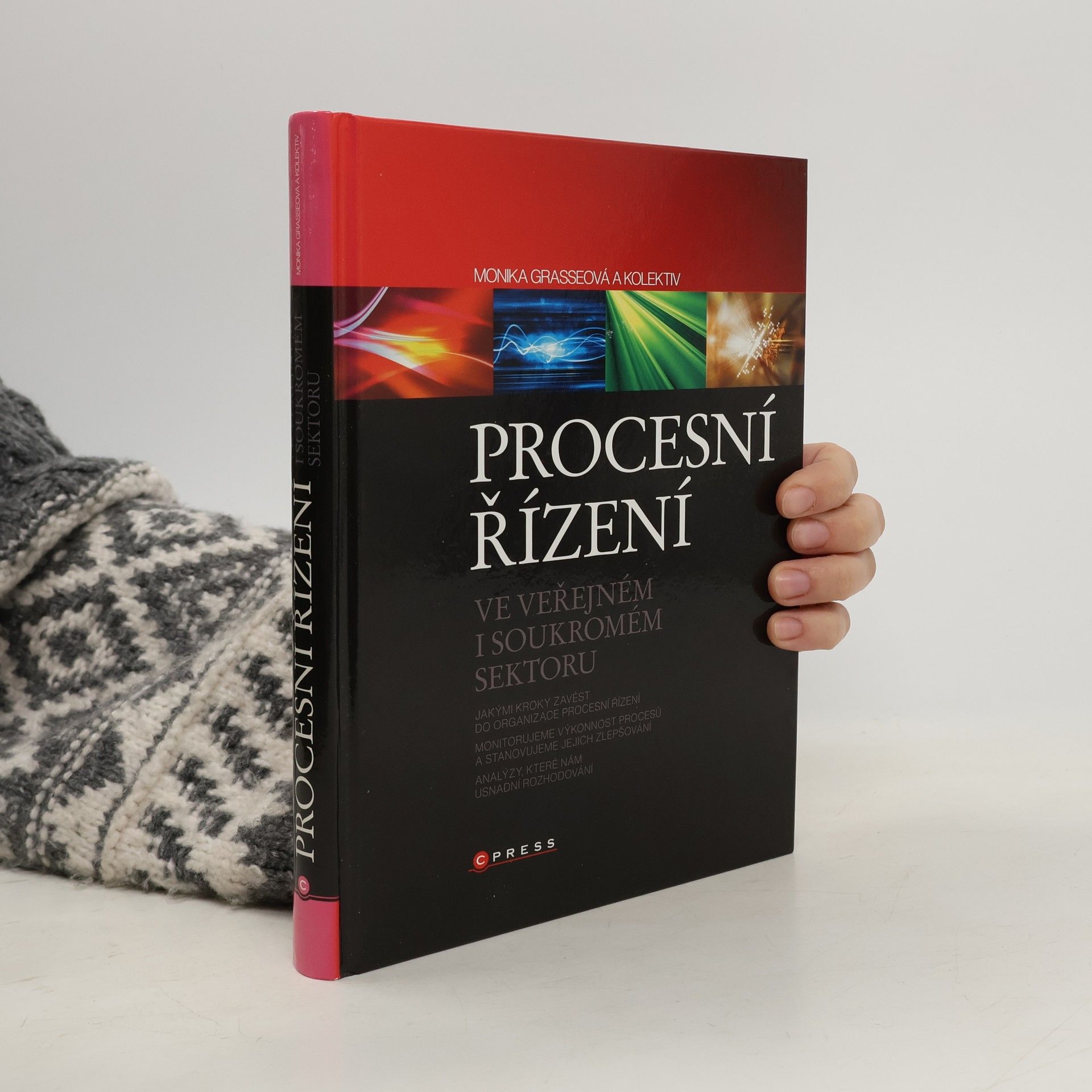 Procesní řízení ve veřejném sektoru : teoretická východiska a praktické příklady