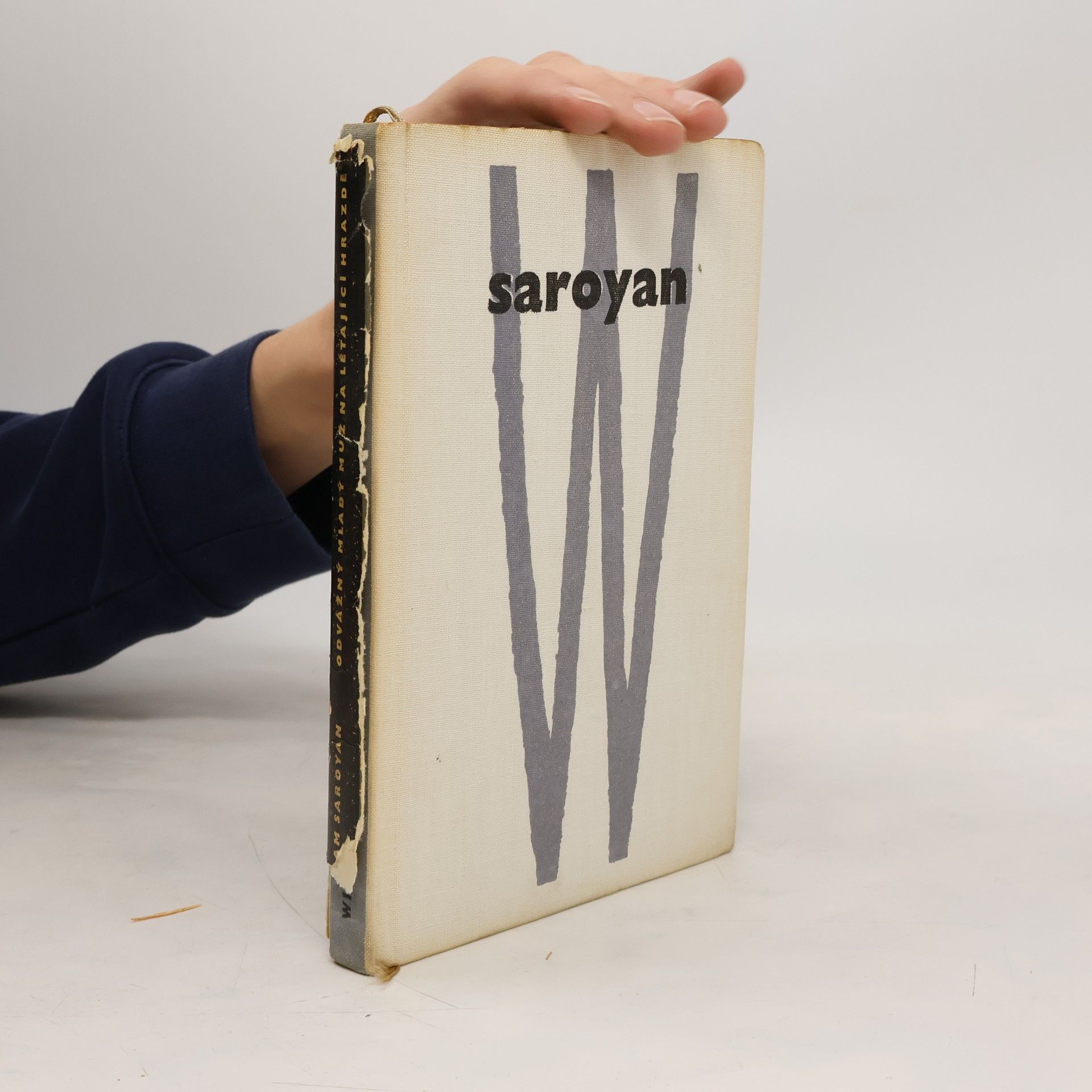 William peneyan Odvážný mladý muž na létající hrazdě