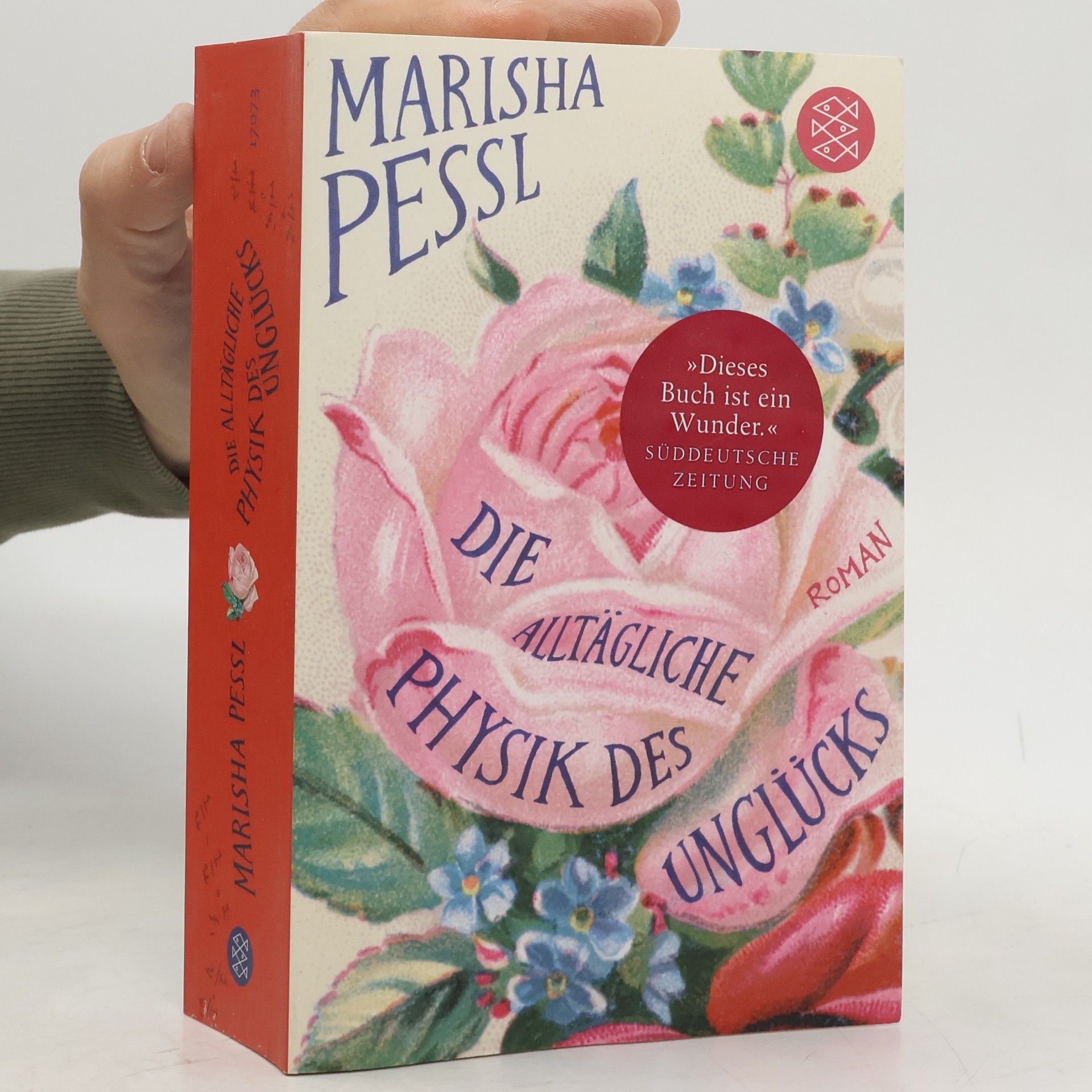 Marisha Pessl Die alltägliche Physik des Unglücks