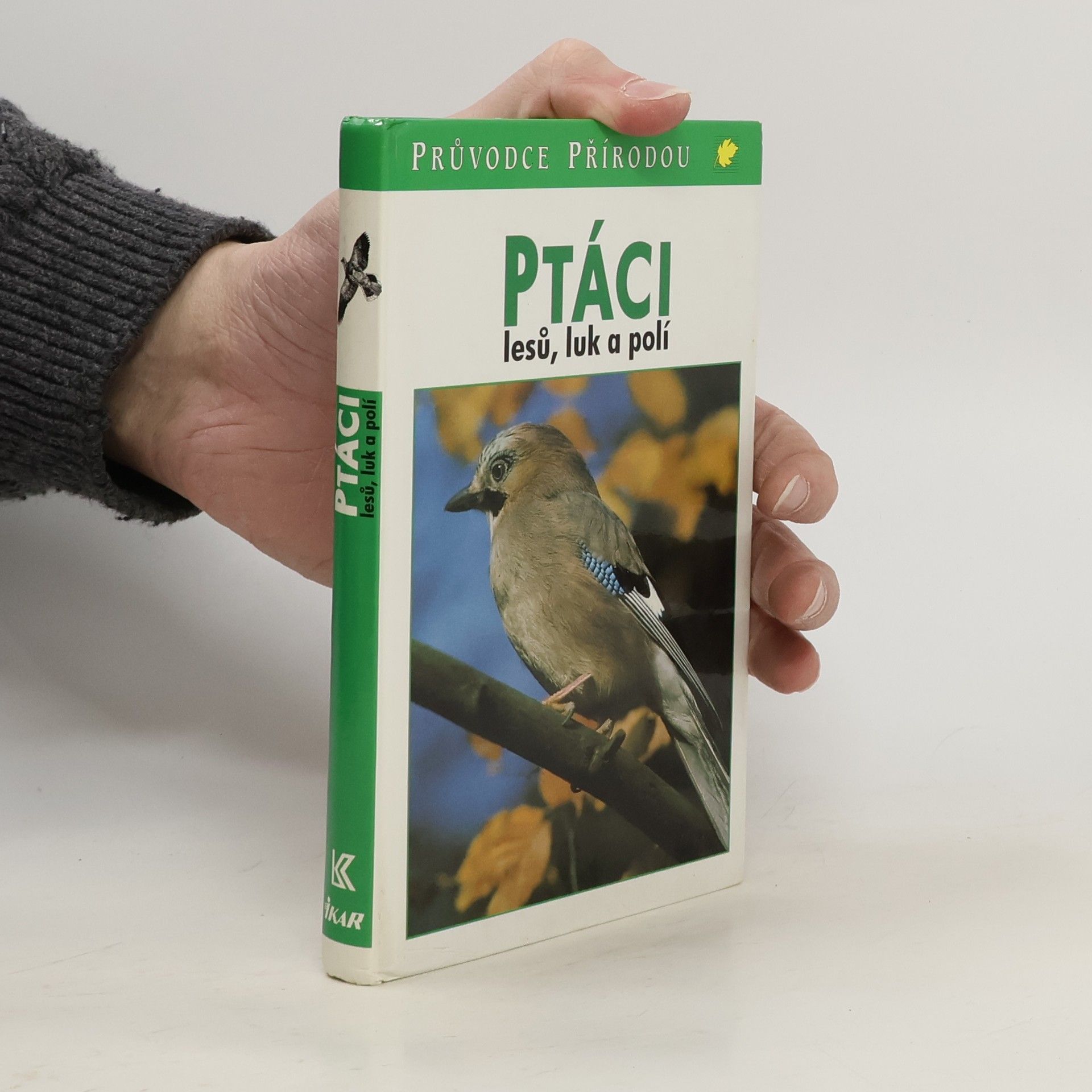 Frieder Sauer Ptáci lesů, luk a polí