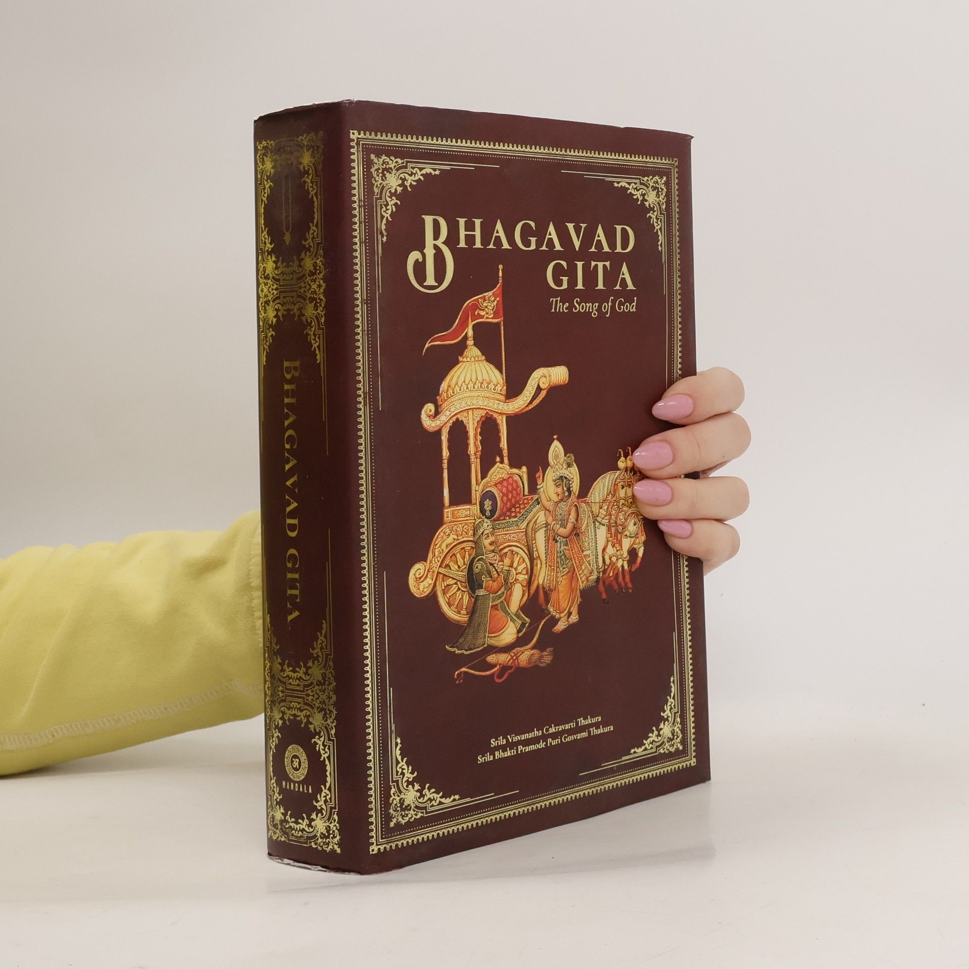 Swami Amritaswarupananda Puri Bhagavad Gita