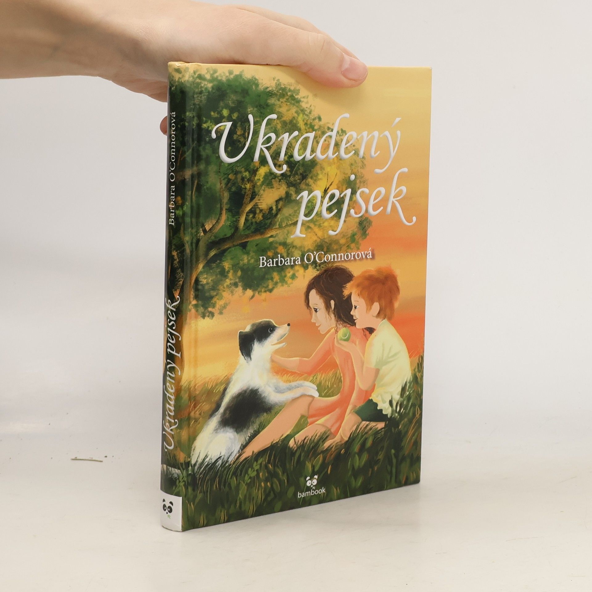 Barbara O. Connor Ukradený pejsek