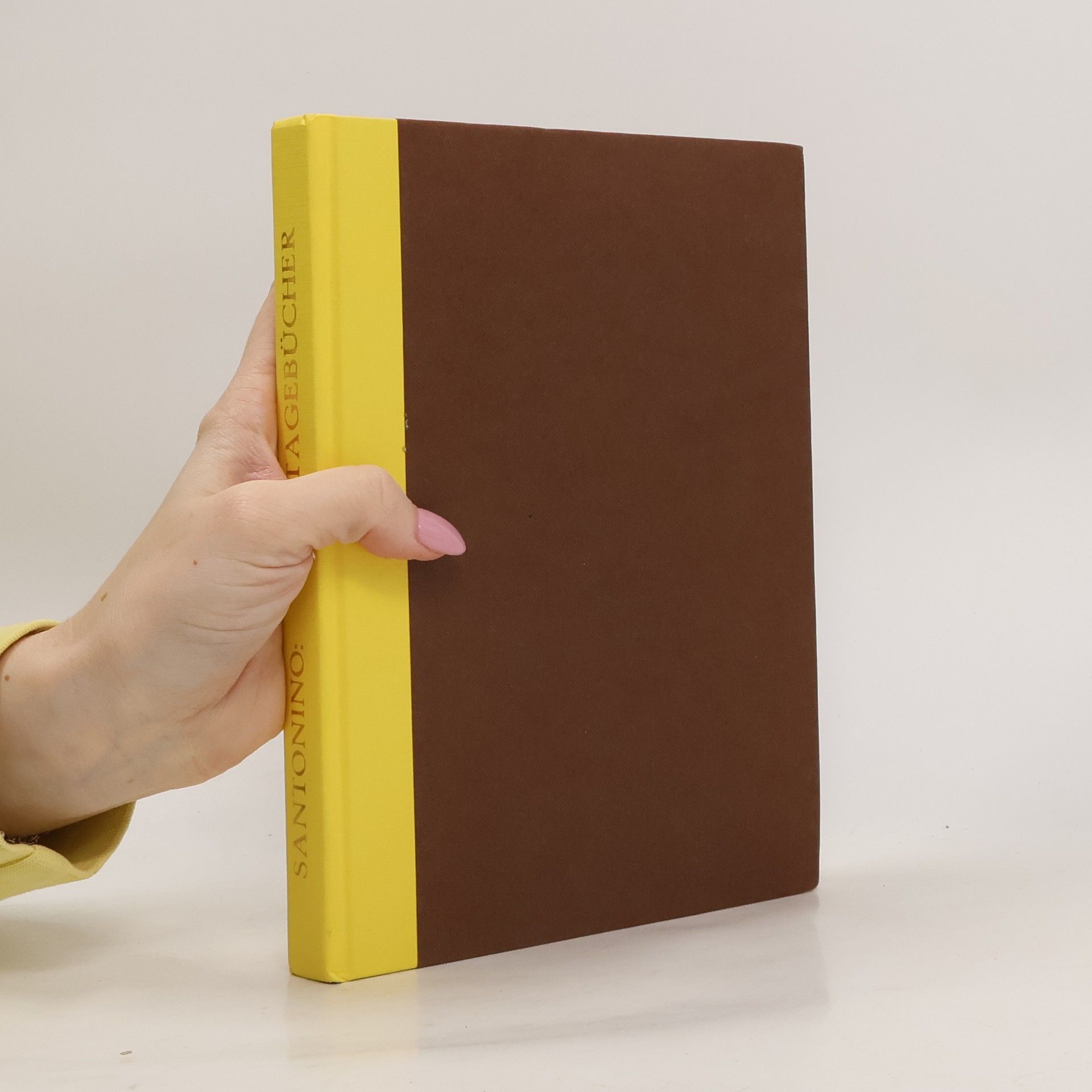 Die Reisetagebücher des Paolo Santonino