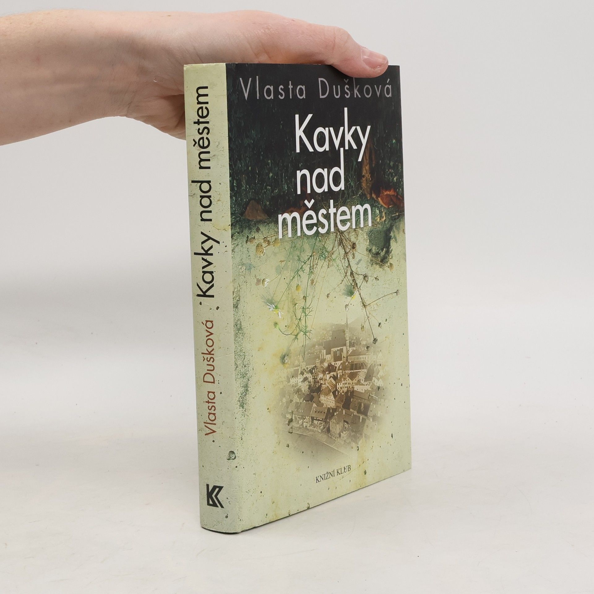 Vlasta Dušková Kavky nad městem