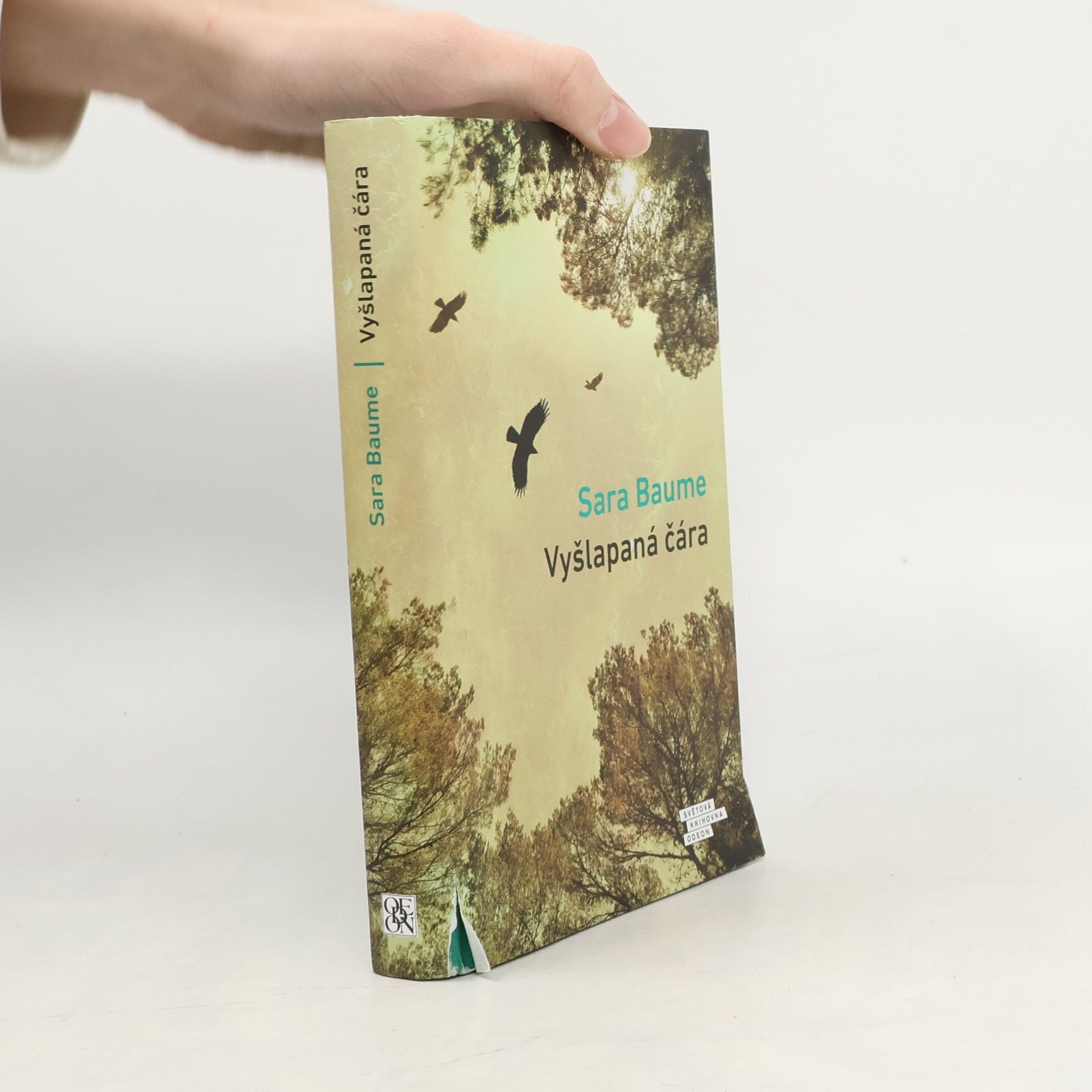 Sara Baume Vyšlapaná čára