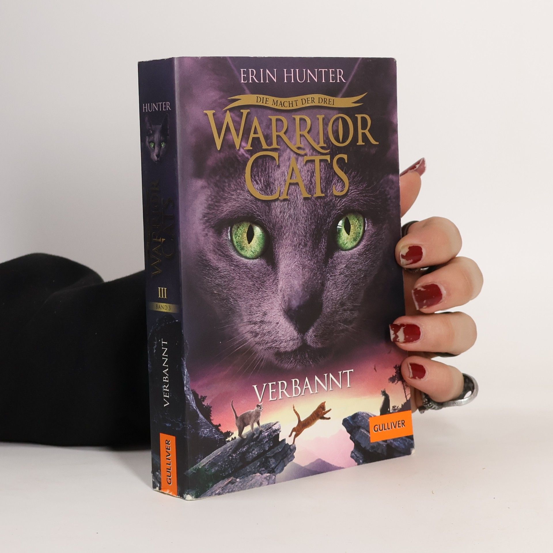 Erin Hunter Verbannt
