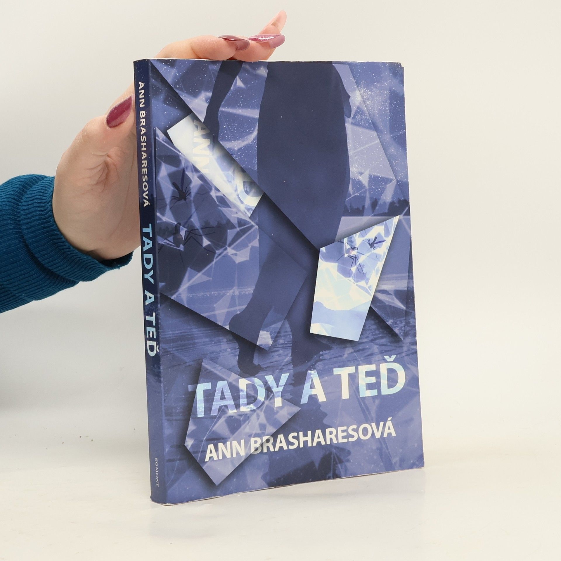 Anna Brashares Tady a teď