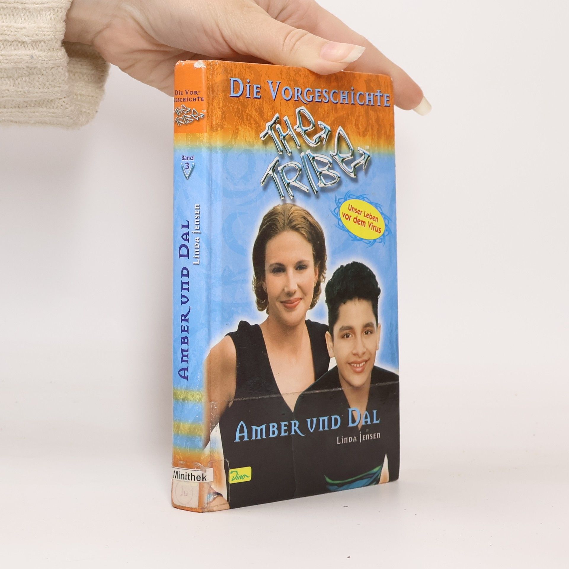 Linda Jensen Die Vorgeschichte, Amber und Dal. Bd.3. Unser Leben vor dem Virus