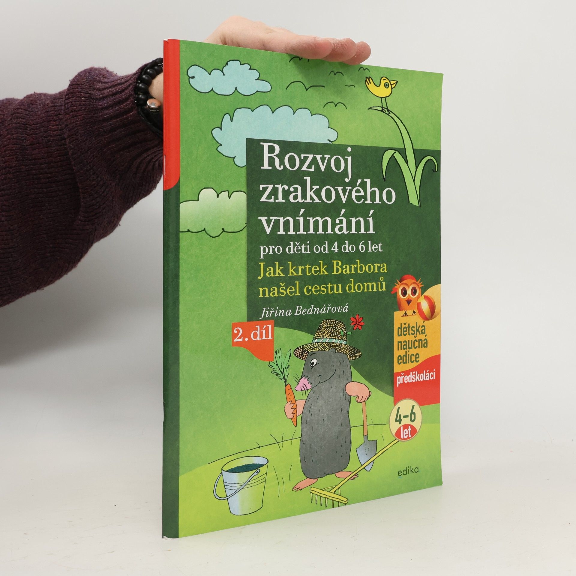 Rozvoj zrakového vnímání