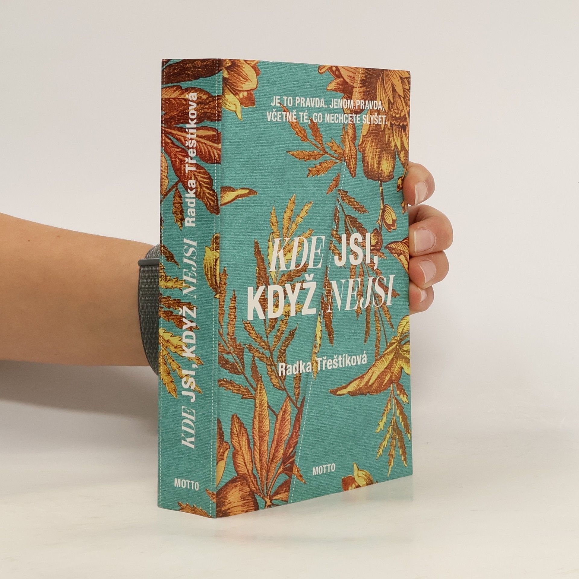 Radka Třeštíková Kde jsi, když nejsi