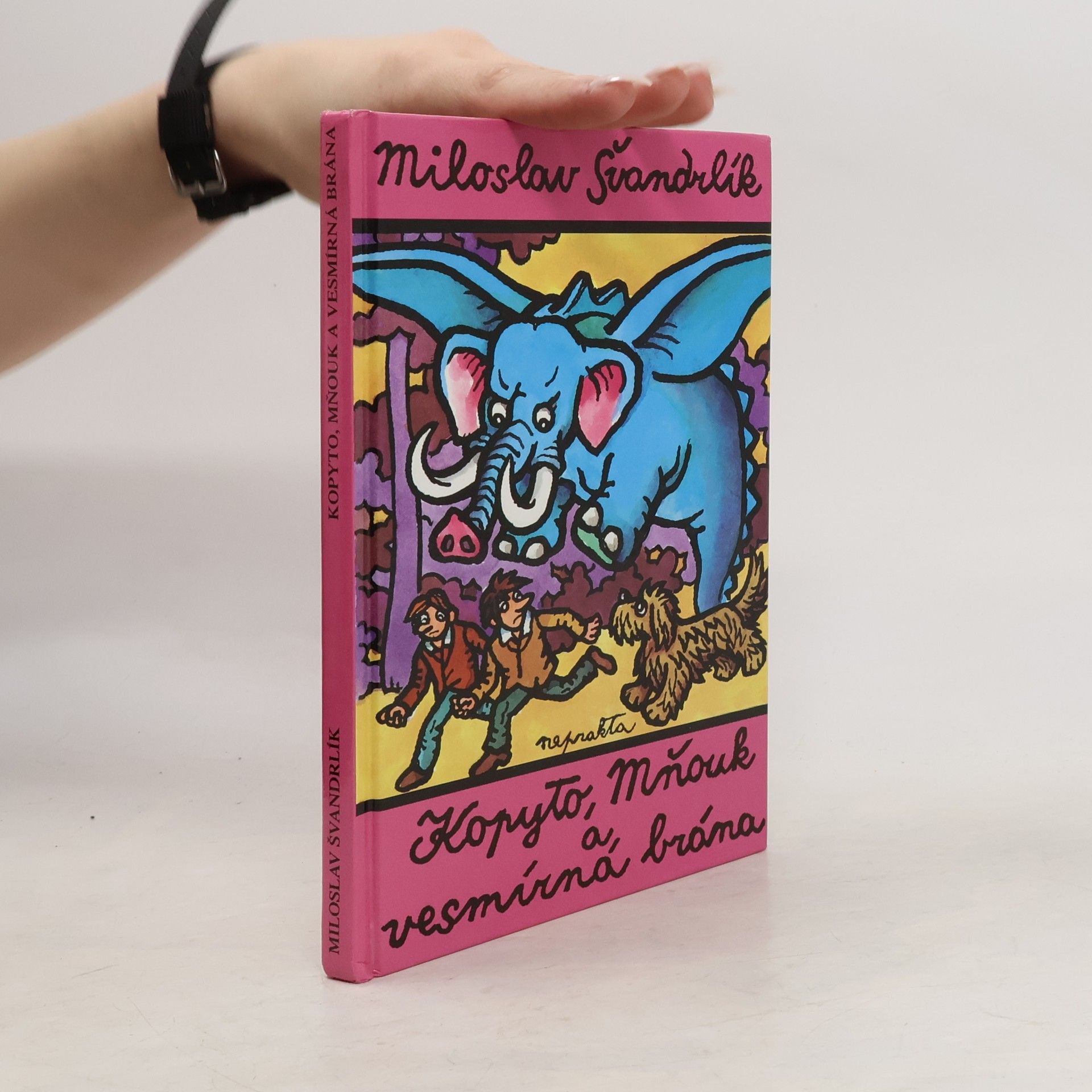 Miloslav Švandrlík Kopyto, Mňouk a vesmírná brána