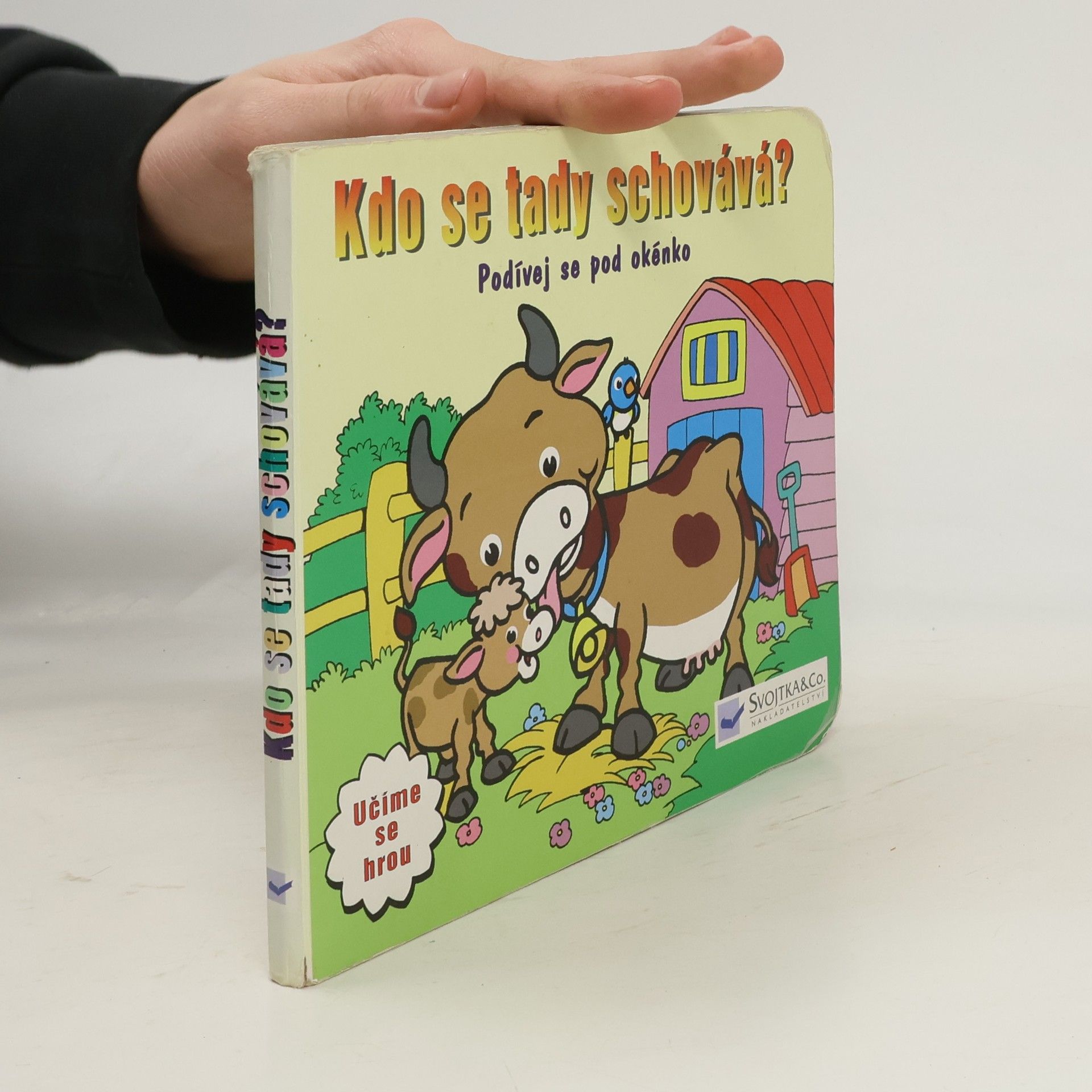 s.r.o Svojtka § Co. Kdo se tady schovává?