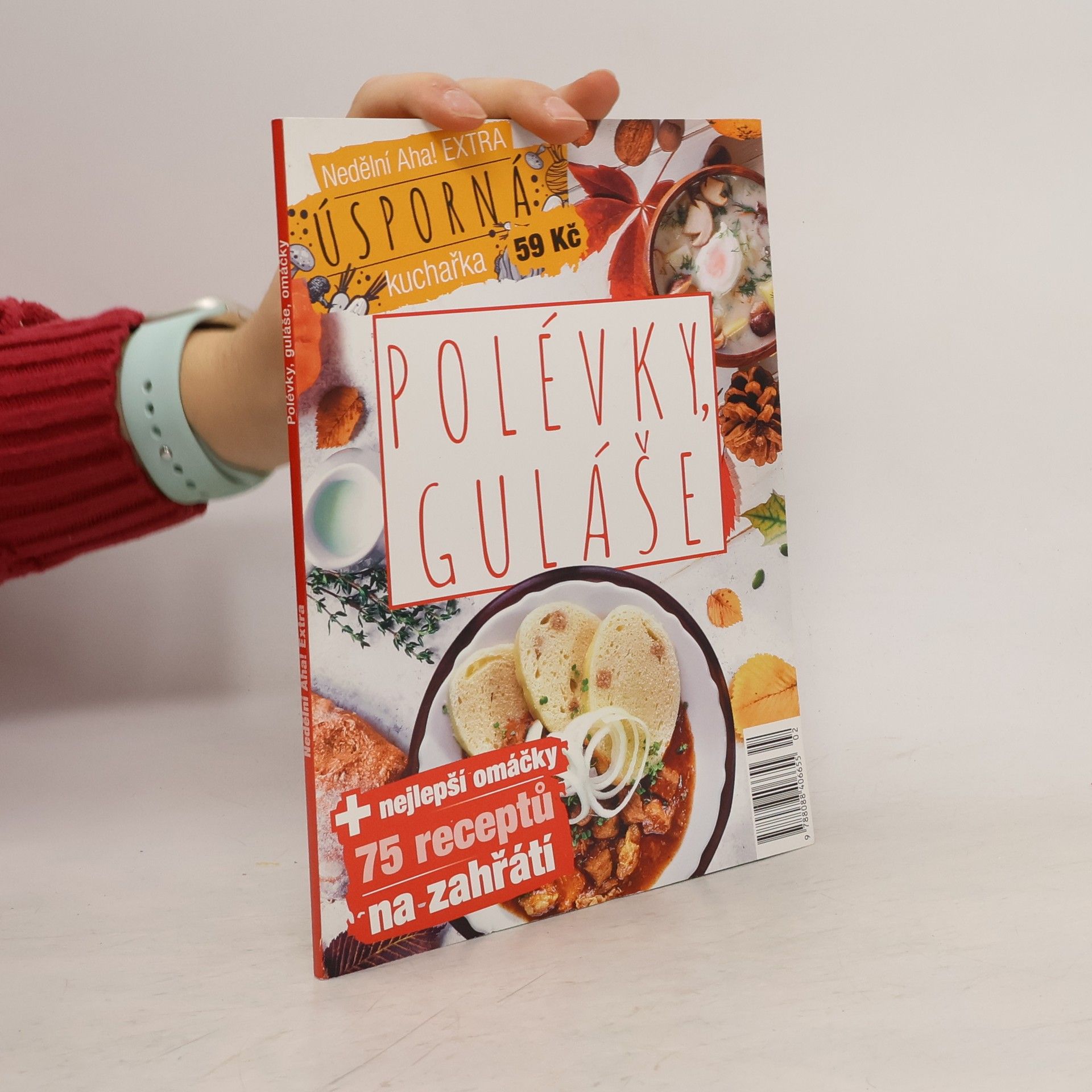 Various authors Polévky, guláše