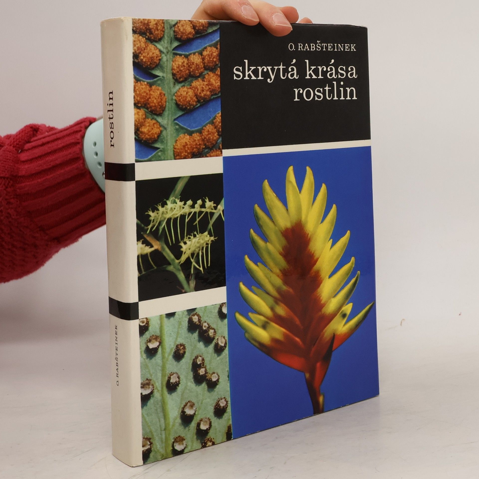 Skrytá krása rostlin