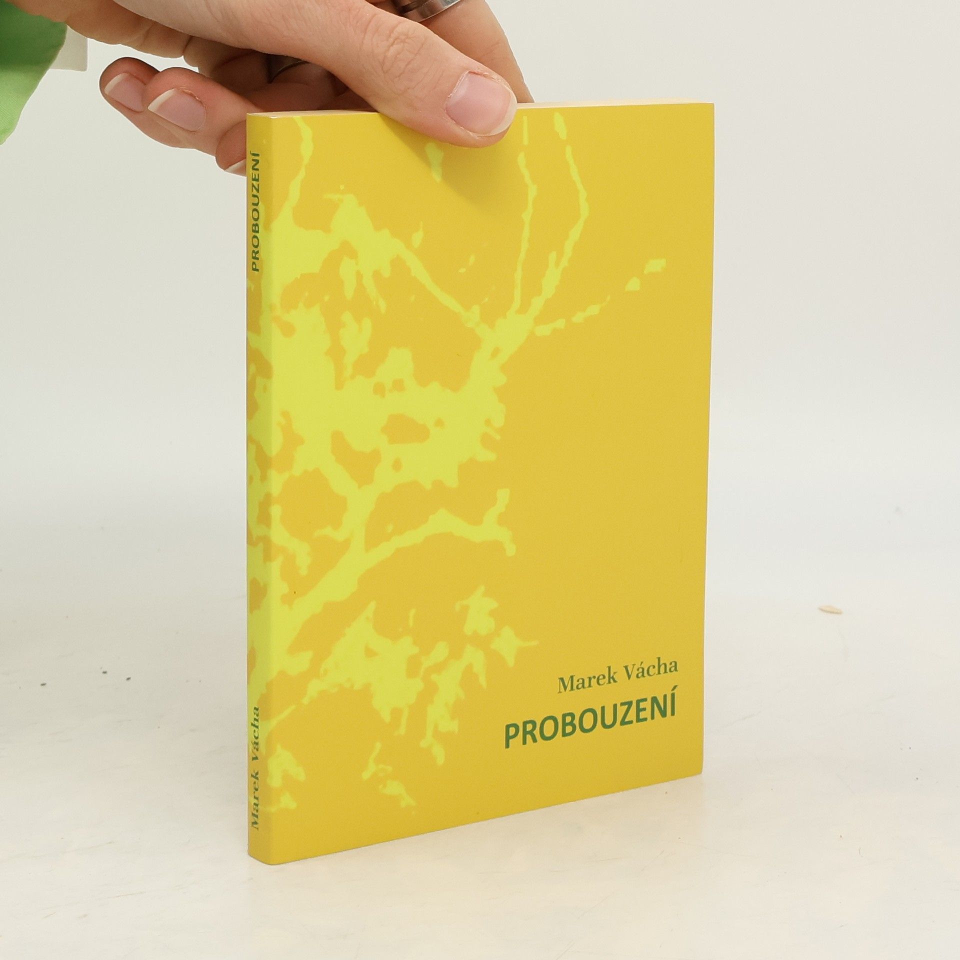 Marek Orko Vácha Probouzení