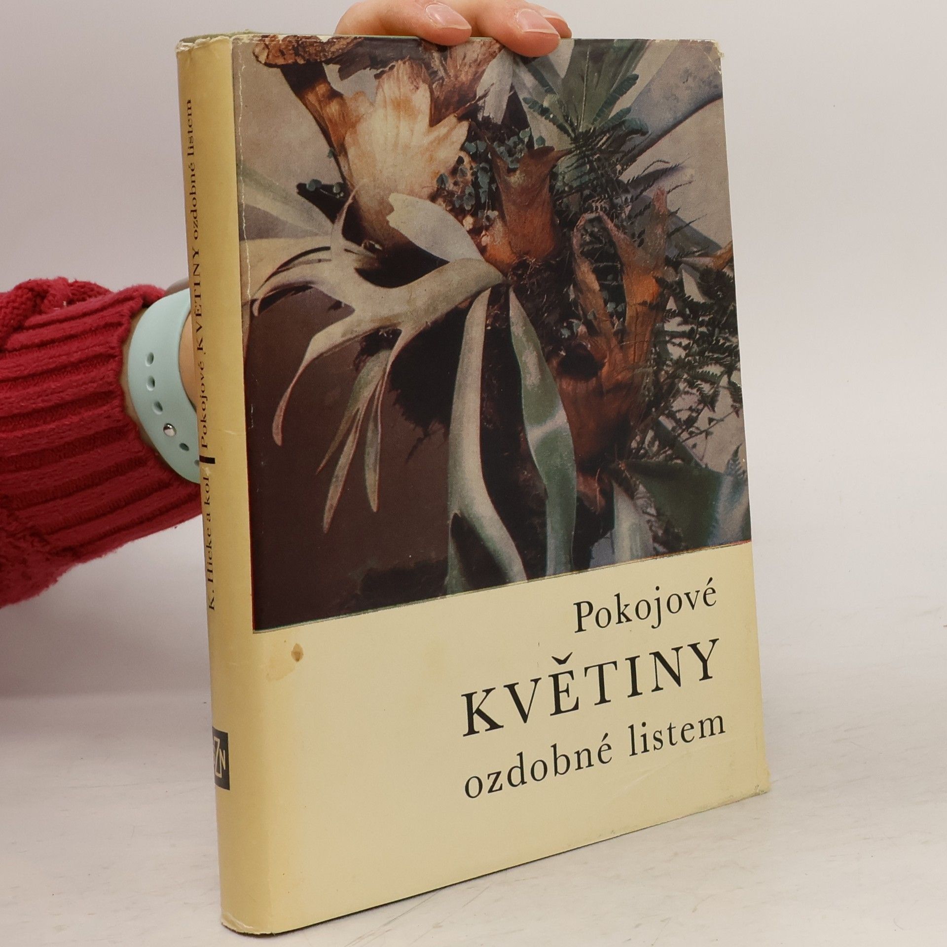 Karel Hieke Pokojové květiny ozdobné listem