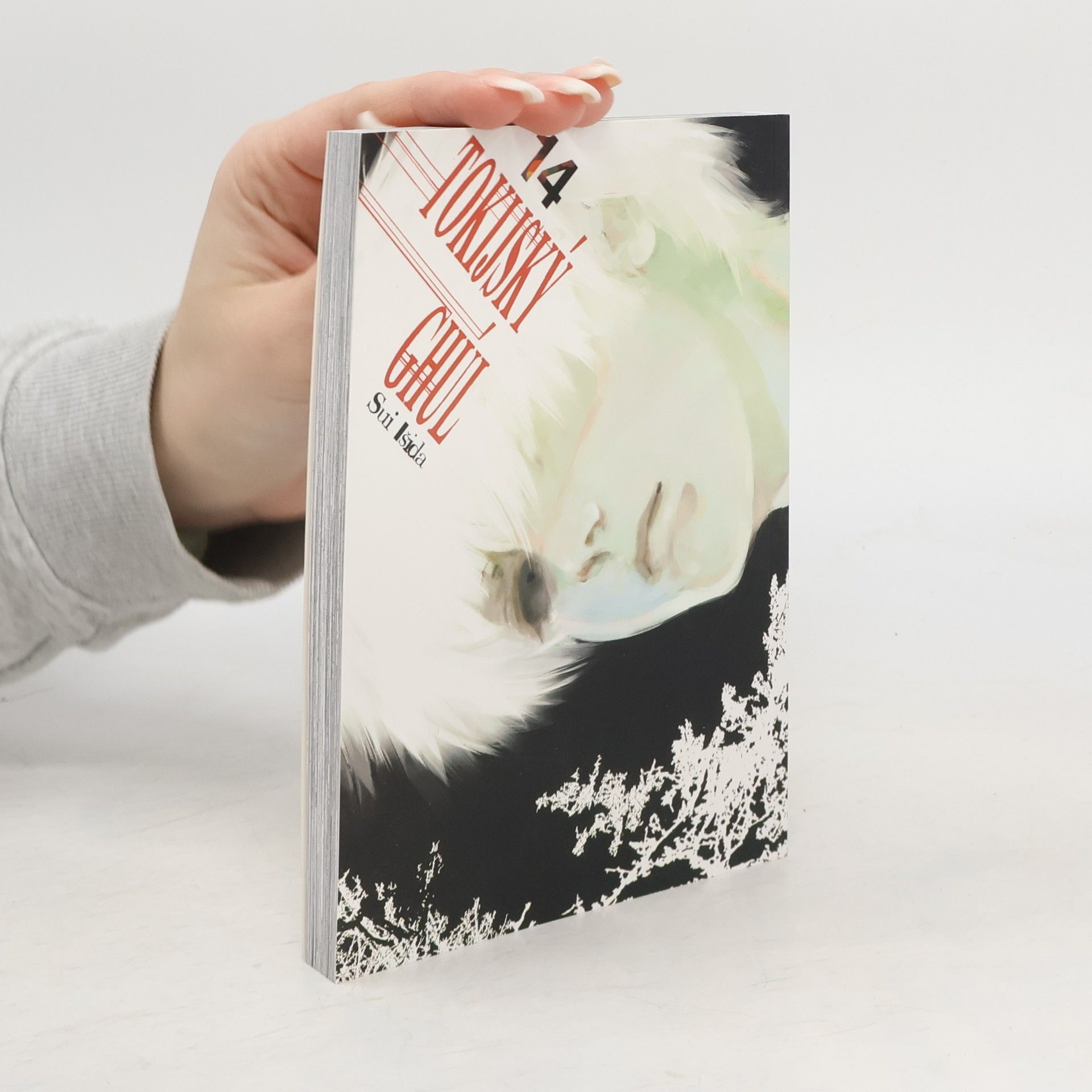 Sui Išida Tokijský ghúl 14