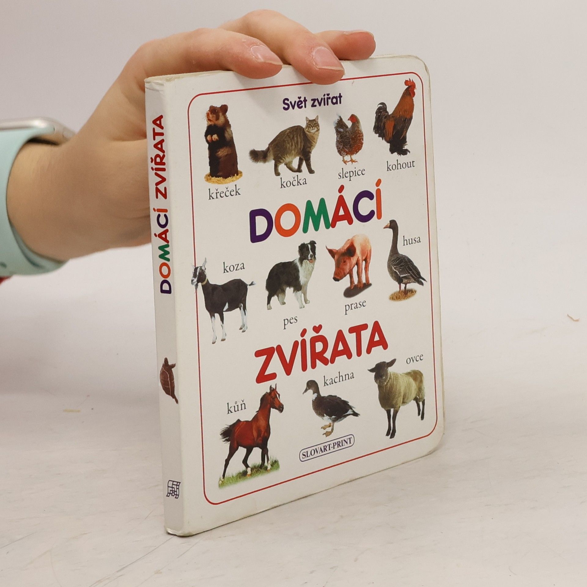 Markéta Šubotníková Domácí zvířata