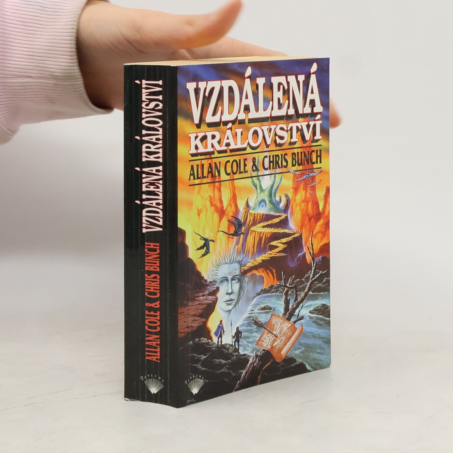 Vzdálená království