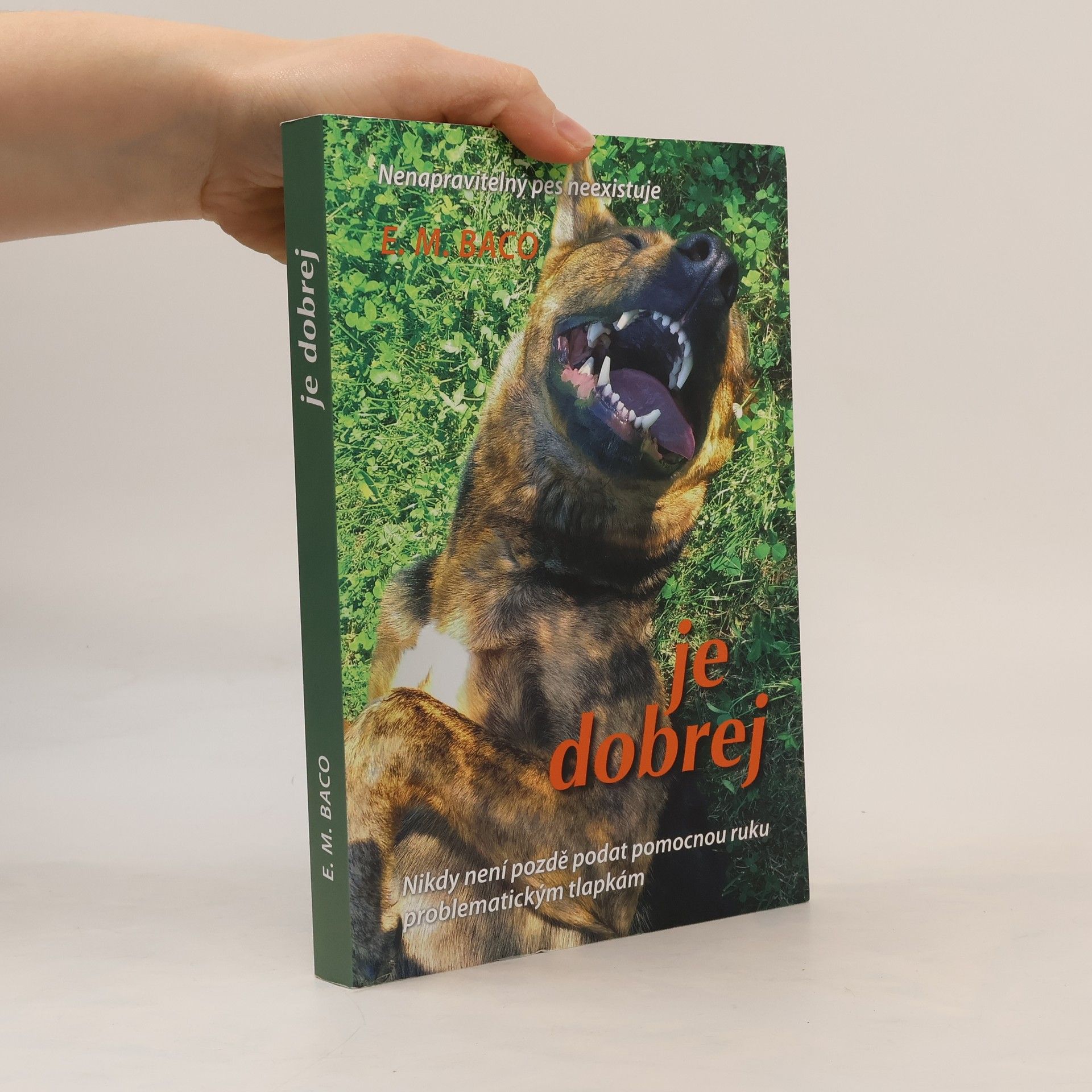 Je dobrej: Nikdy není pozdě podat pomocnou ruku problematickým tlapkám