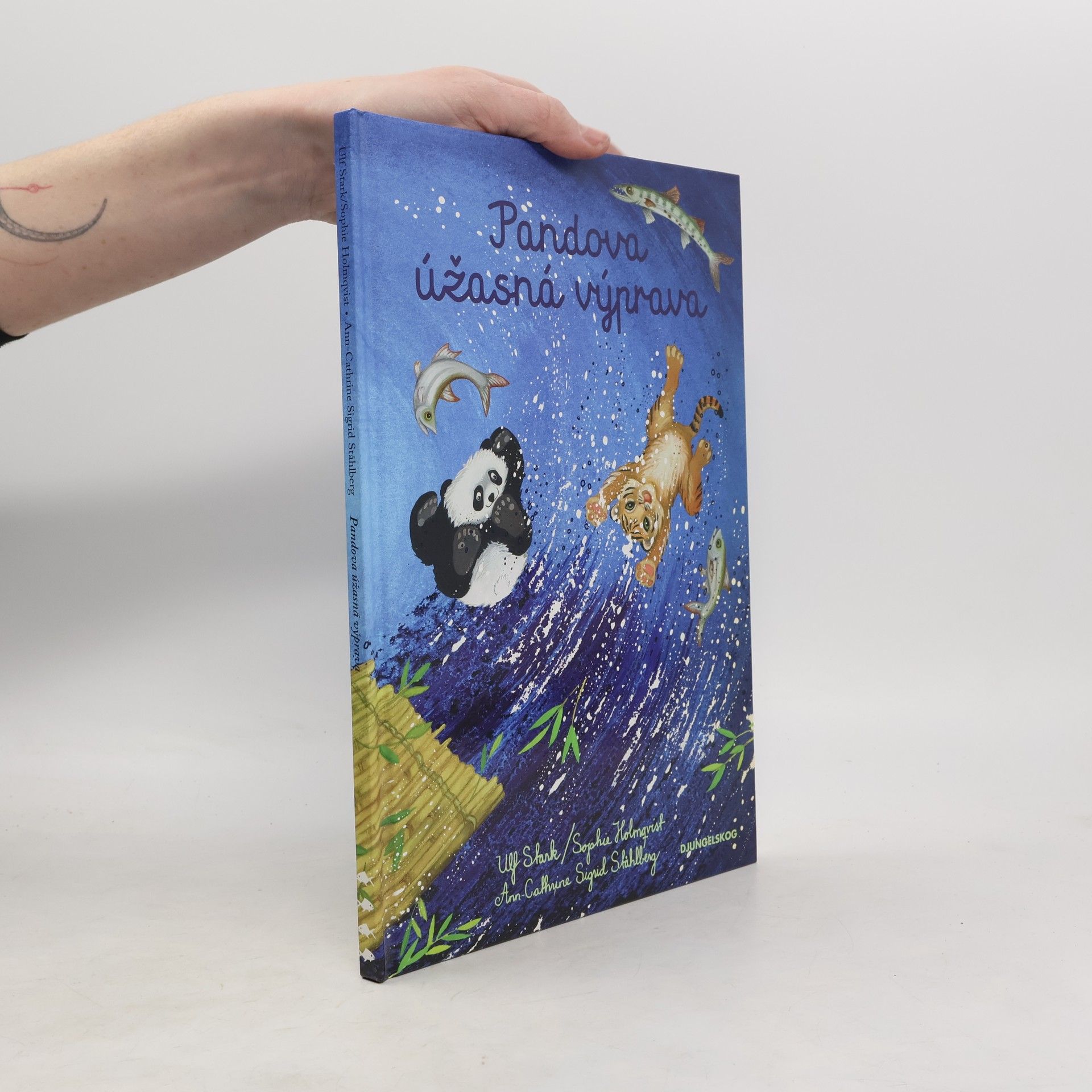 Kolektiv autorů Pandova úžasná výprava