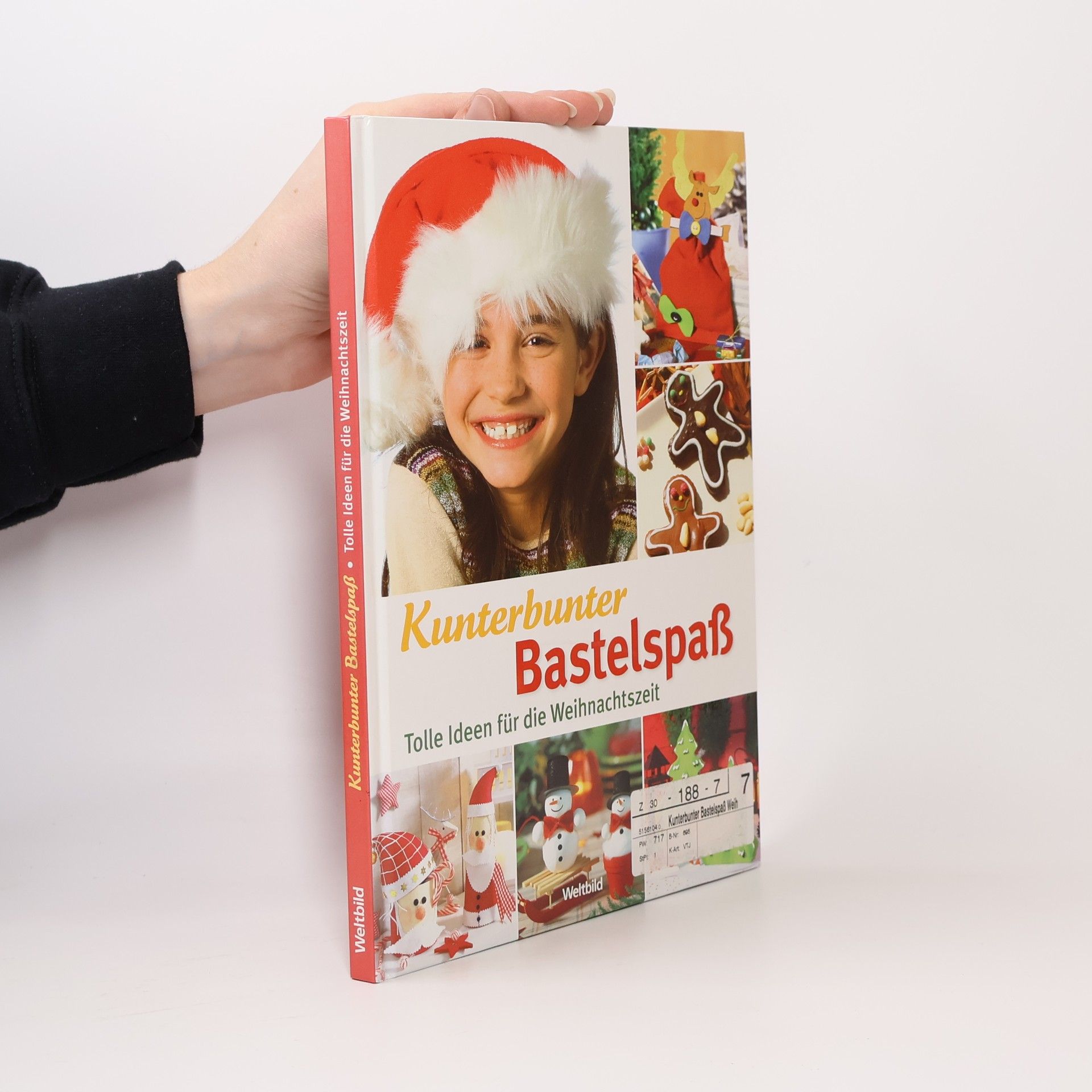 Petra Hassler Kunterbunter Bastelspaß