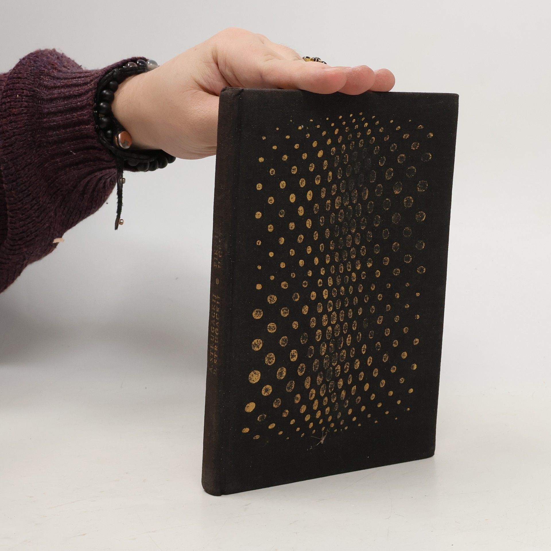 Arkadij Strugackij Piknik u cesty