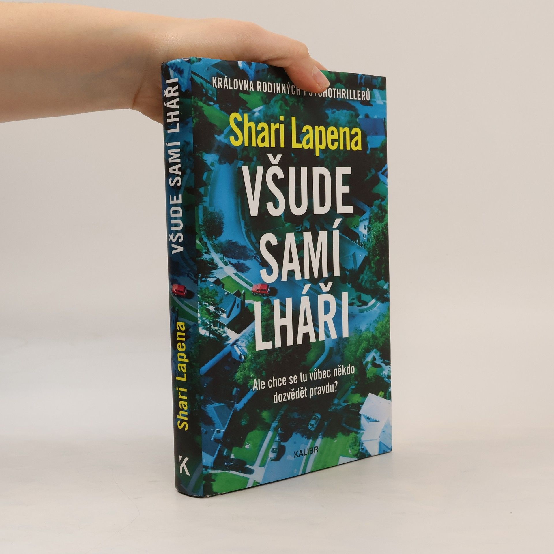 Shari Lapena Všude samí lháři