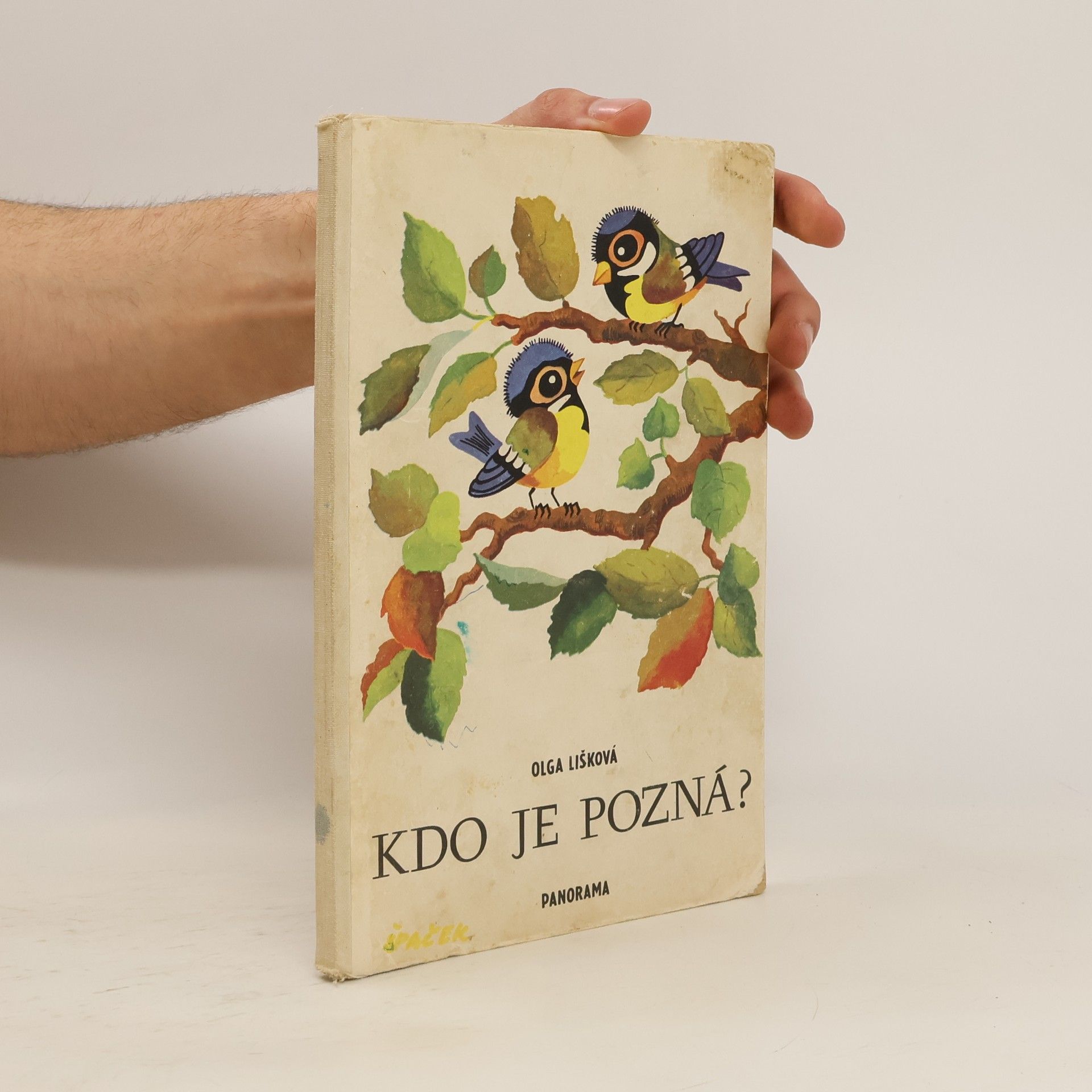 Olga Lišková Kdo je pozná?