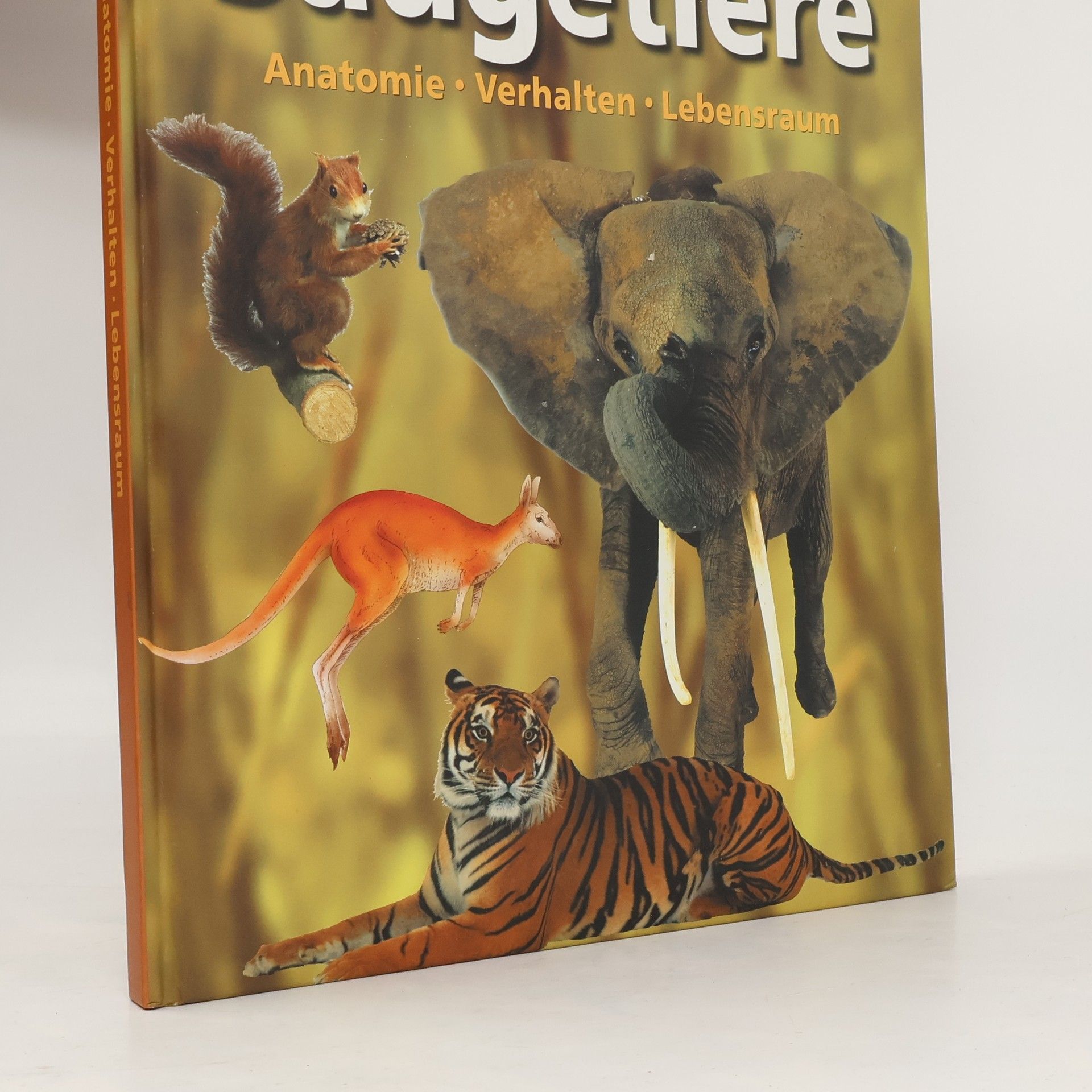 Auteurscollectief Säugetiere