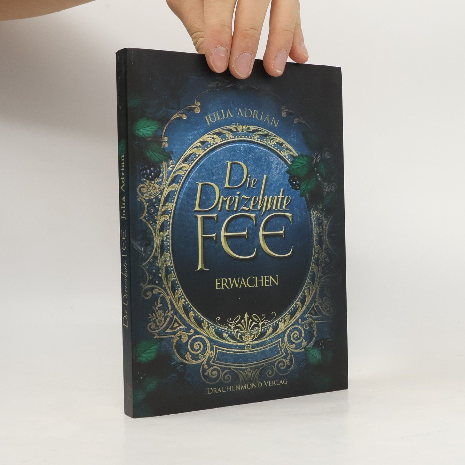 Die Dreizehnte Fee - Erwachen