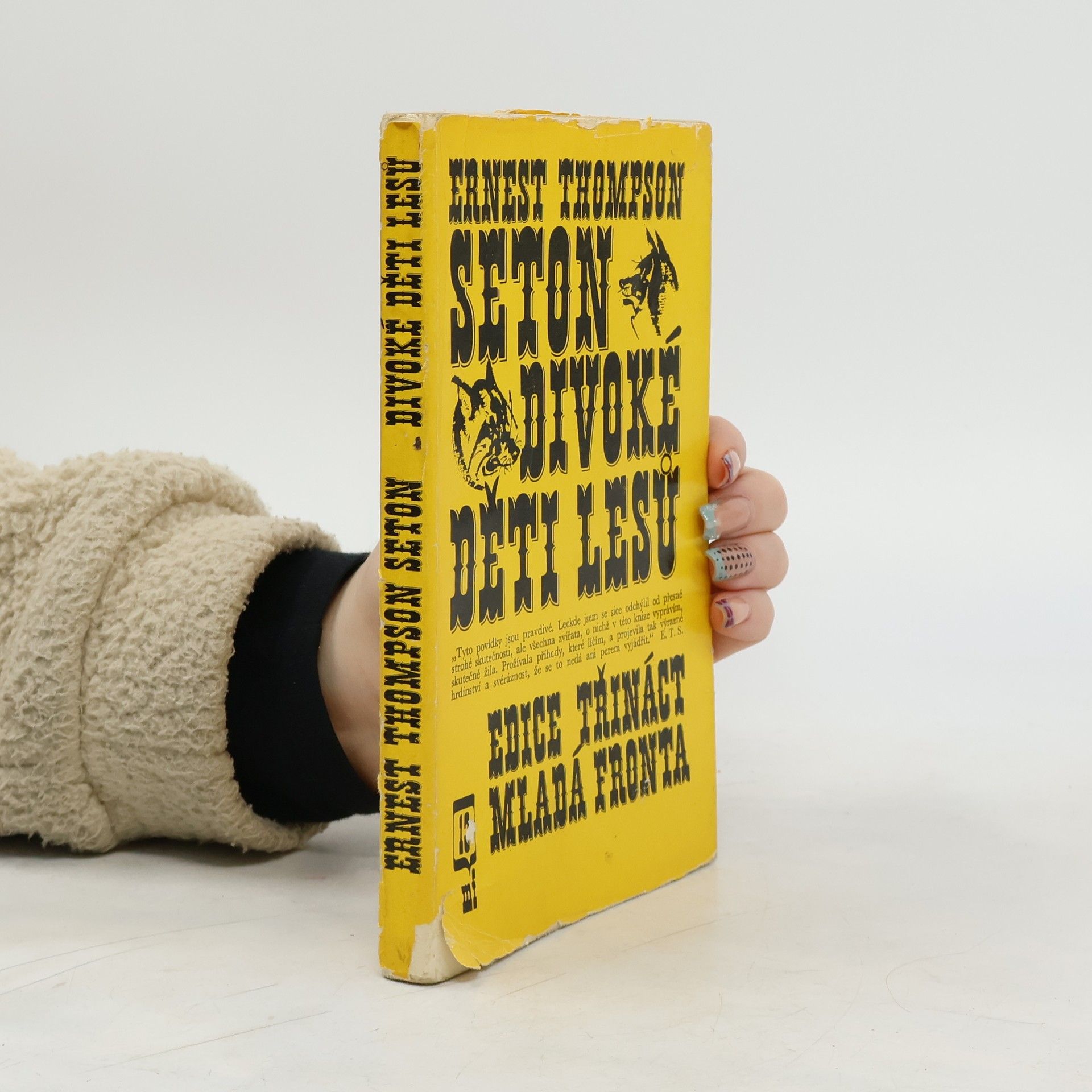 Ernest Thompson Seton Divoké děti lesů