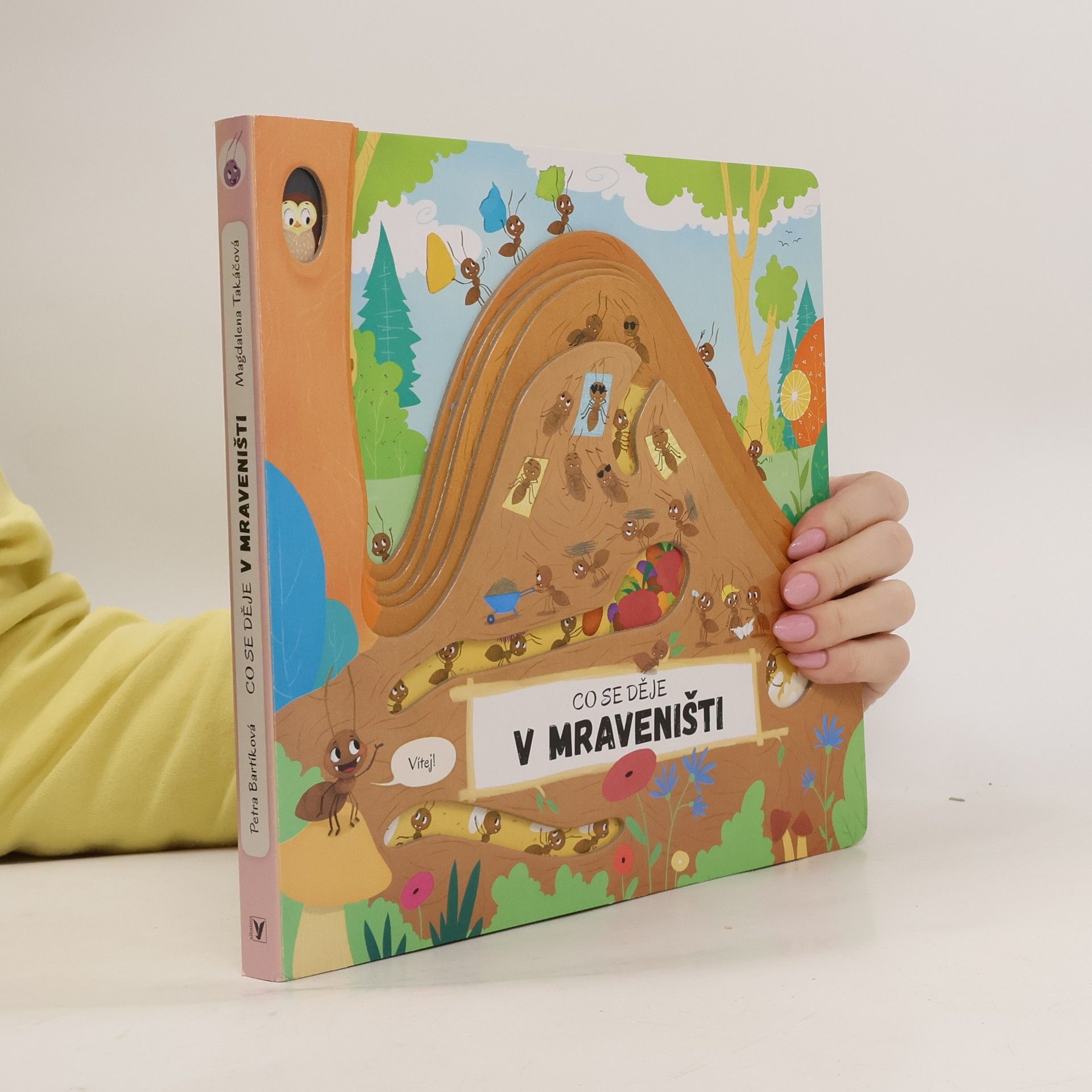 Petra Bartíková Co se děje v mraveništi