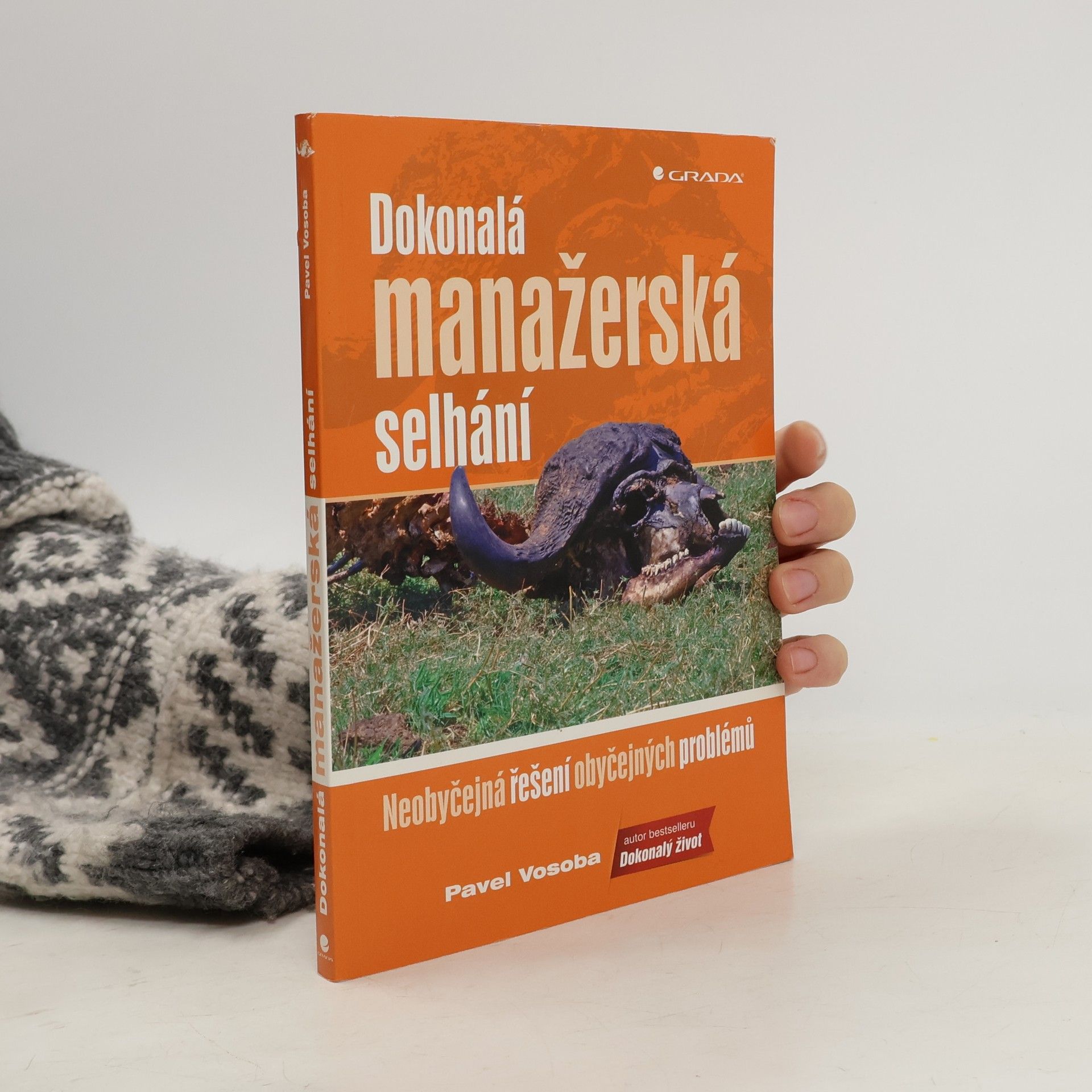 Dokonalá manažerská selhání : neobyčejná řešení obyčejných problémů