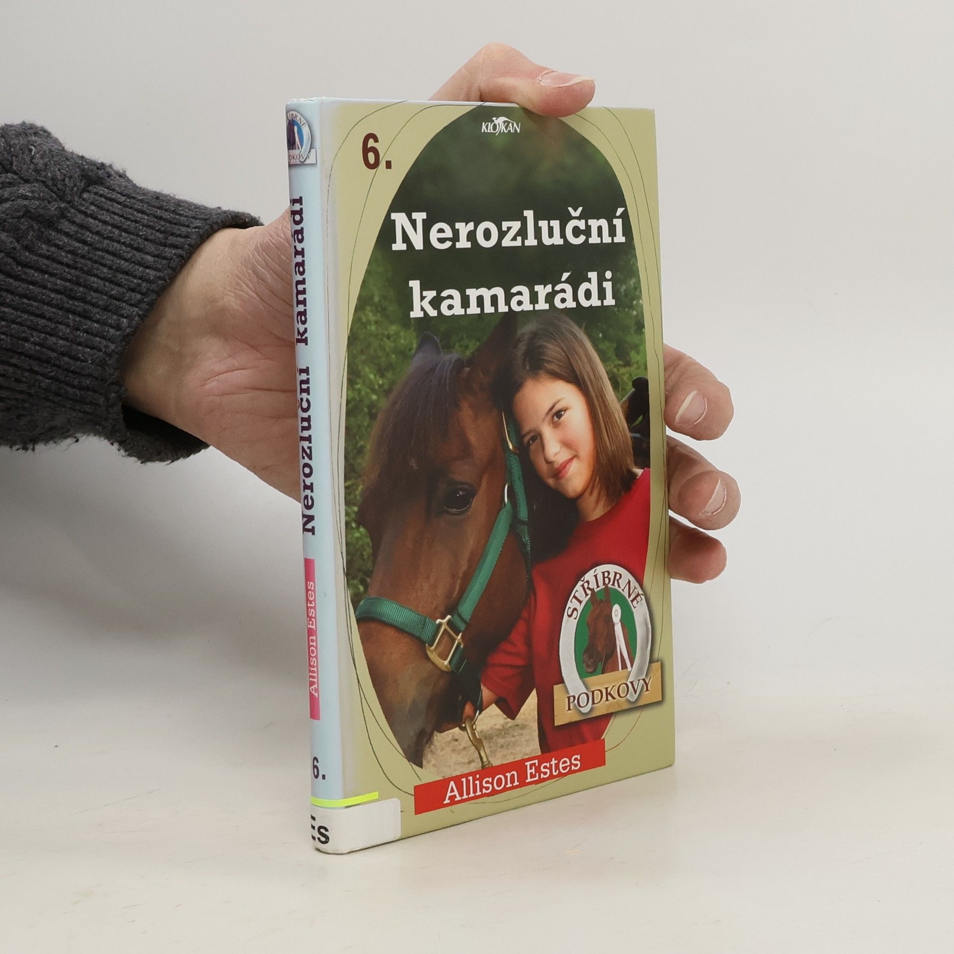 Allison Estes Stříbrné podkovy. 6, Nerozluční kamarádi