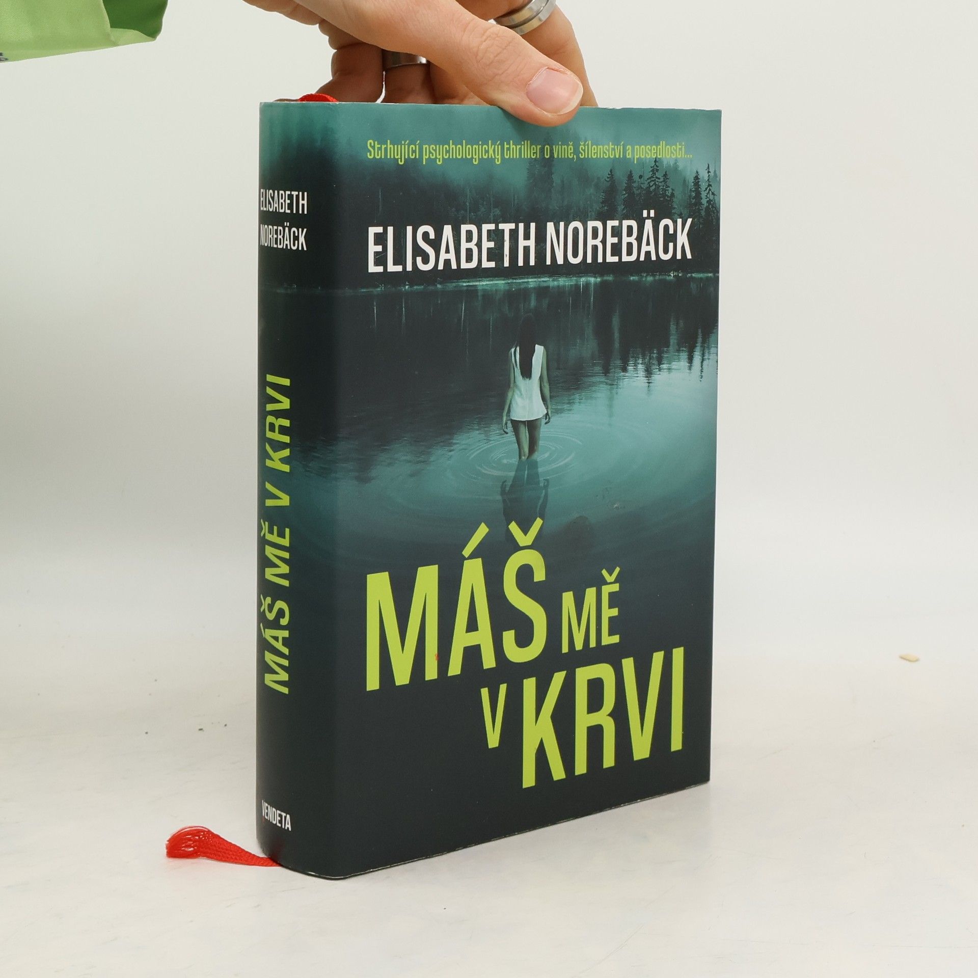 Elisabeth Norebäck Máš mě v krvi